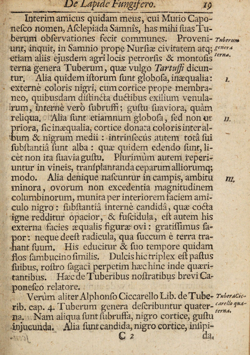 Interim amicus quidam meus,'cui Mutio Capo- nefco nomen, Afclepiada Samnis, has mihi fiias Tu¬ berum obfervationes fecit communes. Proveni- Tuberum, unt, inquit, in Samnio prope Nurfias civitatem atq; sener* etiam aliis ejusdem agri locis petroriis <3c montofisterna' terna genera Tuberum, quas vulgo Tartuffi dicun¬ tur. Alia quidem illorum funt globofa, inaequalia: i, externe coloris nigri, cum cortice prope membra¬ neo, quibusdam diftin&a duftibus exilium venula¬ rum , interne vero fubruffi; guftu fuaviora, quam reliqua. Alia funt etiamnum globofa, fed non ut n. priora, fic inaequalia, cortice donata coloris inter al¬ bum & nigrum medii: intrinfecus autem tota lui fubftantia funt alba : qua; quidem edendo funt, li¬ cet non ita fuavia guftu. Plurimum autem reperi- untur in vineis, tranfplantanda ceparum alliorumq; modo. Alia denique nafcuntur in campis, ambitu nj, minora, ovorum non excedentia magnitudinem columbinorum, munita per interiorem faciem ami¬ culo nigro : fubftantia interne candida, qua; cofta igne redditur opacior, <3t fufcidula, eft autem his externa facies squalis figura; ovi: gratiffimus fa- Eor: neque deeft radicula, qua fuccum e terra tra- ant ftium. His educitur <3c fuo tempore quidam flos fambucino fimilis. Dulcis hic triplex eft paftus fuibus, roftro fagaci perpetim ha;c hinc inde quiri¬ tantibus. Haec de Tuberibus noftratibus brevi Ca- ponefco relatore. 7 Verum aliter Alphonfb Ciccarello Lib. de Tube- Tuberdcie- rib. cap. 4. Tuberum genera defcribuntur quater- ceJlaqKa' na. Nam aliqua funt fubruffa, nigro cortice, guftu injucunda. Alia funt candida, nigro cortice, infipi-