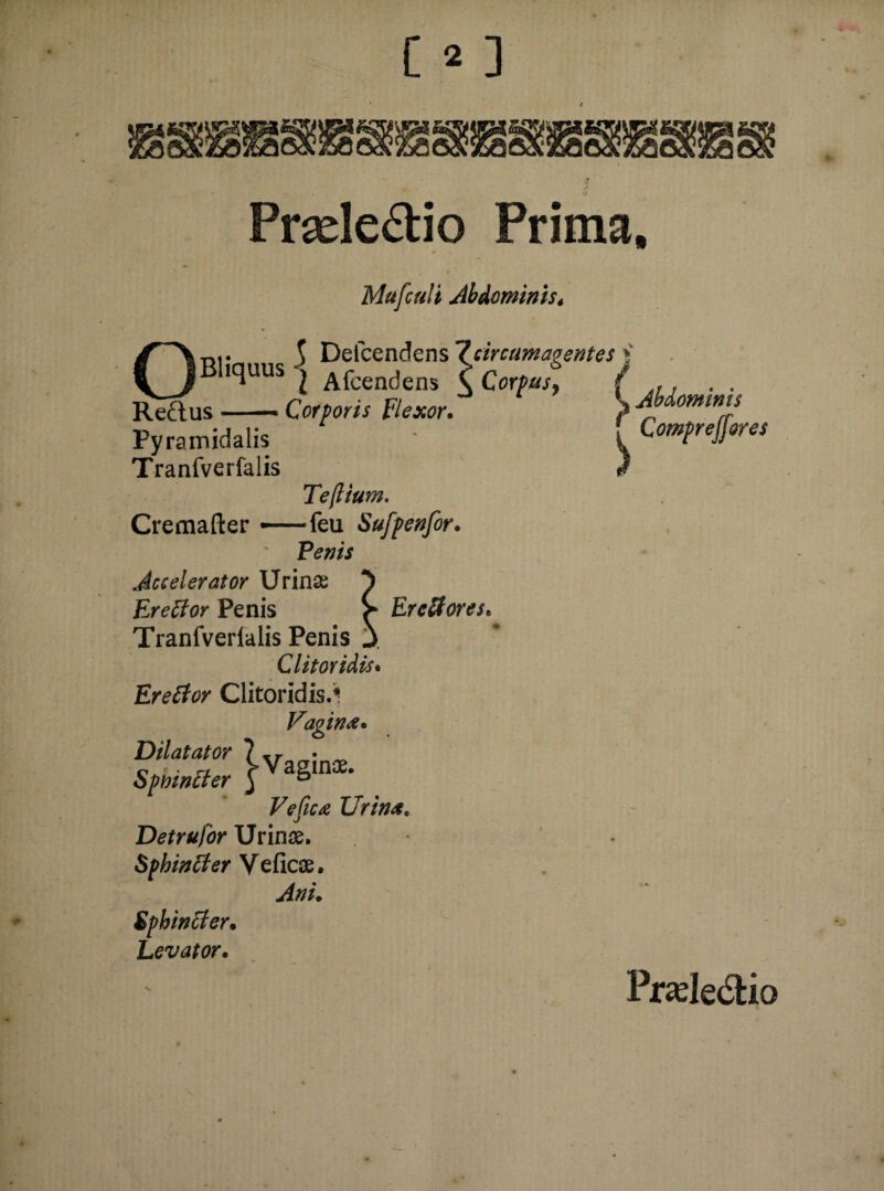 m s* » <1 Prselectio Prima, Mufculi Abdominis* iJ Compr effores Ont. 5 Deicendens 7circumagentes i B1,cluus i Afcendens £ Corpus^ ( jU . . Re£ius-Corporis Flexor. ‘ Eminis Py ramidalis Tranfverfalis Teflium. Cremafter — feu Sufpenfor. Penis Accelerator Urina: *) Ereffor Penis Ercffores* Tranfverialis Penis j Clitoridis• Eretfor Clitoridis.1 Vagina. Dilatator - Spmncter J ag n Ve fica Urina. Detrufor Urinae. Sphinffer Veficae. Anu Ephtnffier. Levator.