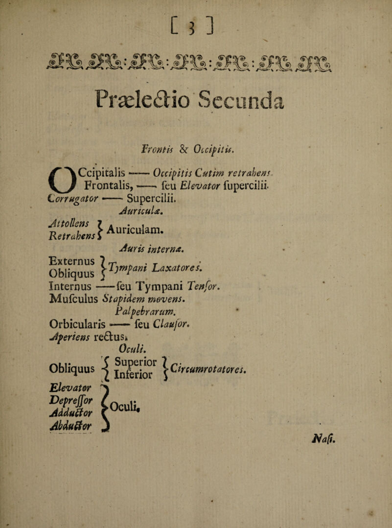Prade&io Sccund & frontis & Occipitis. OCcipitalis Frontalis, Lorrugator — Supercilii, Occipitis Cutim retrahens feu Elevator fuperciiii. Attollens Retr Auricula. dlsl Auvicuhm' Auris interna. Externus ? rr ^ • r Obliquus Laxat ores. Internus —~feu Tympani Tenfor. Mufculus Stapidem movens. Palpebrarum. Orbicularis —— feu Claufor. Aperiens reftus* Oculi. Obliquus jnfcrio^ \^lYCum0tat0Ye^ Elevator Defreffor fQ » Jdduttor >ucuu* Abduftor