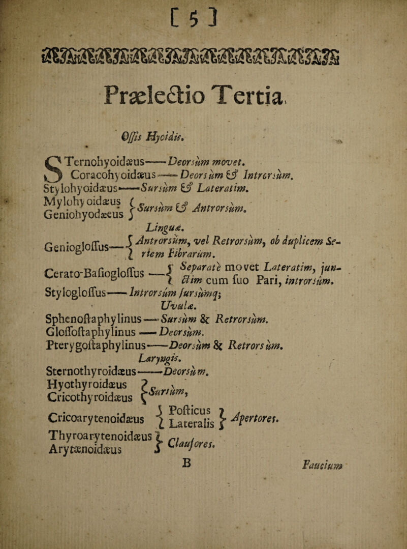 s t Separati movet Lateratim, jun- l flm cum fuo Pari, introrsum. Offis H)eidis. ' • ^ Ternohyoidseus-Deorsum movet. j Coracohyoid*us -~D^ri^wCif Introrsum. Stylohyoideus*— Sursum £j? Lateratim. My loh> oida;us C Sursum iS Antrorsum. Gemoliyocteeus j Lingua. C '' lofTnc._S introrsum, vel Retrorsum, ob duplicem Se- ® iibrarum. Cerato-BafiogloJTus - Styloglcffus-Introrsum fur sum fy Uvula. Sphenoftaphylinus —Sursum & Retrorsum. Glofloftaphylinus —Deorsum. Pterygoftaphylinus-Deorsum 8c Retrorsum. Laryngis. Sternothyroideus——Deorsum. Hyothyroidaeus ? „ , Cricothyroideus f4 ’ Cricoarytenoideus ^ Laferalis ^ j}?ertors^ Thyroarytenoideus 1 rl . Arytenoideus S Clautorei’ B Faucium