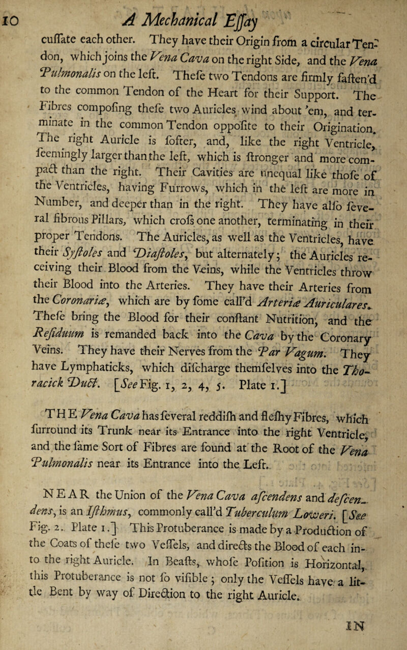 cuffate each other. They have their Origin from a circular Ten¬ don, which joins the Vena Cava on the right Side, and the Vena SPulmonalis on the left. Thefe two Tendons are firmly fatten'd to the common Tendon of the Heart for their Support. The fibres compofing thefe two Auricles wind about'em, and ter¬ minate in the common Tendon oppofite to their Origination. 1 he. right Auricle is fofter, and, like the right Ventricle, feemingly larger than the left, which is ftronger and more com¬ pact than the right. Their Cavities are unequal like thofe of the \entricles, having Furrows, which in the left are more in Number, and deeper than in the right. They have alio feve- ral fibrous Pillars, which crofs one another, terminating in their proper Tendons. The Auricles, as well as the Ventricles, have their Syftoles and cDiaftoles, but alternately; the Auricles re¬ ceiving their Blood from the Veins, while the Ventricles throw their Blood into the Arteries. They have their Arteries from the Coronaria, which are by fome calFd Arteria Auriculares» Thefe bring the Blood for their conftant Nutrition, and the Refiduum is remanded back into the Cava by the Coronary- Veins. They have their Nerves from the Rar Vagum. They have Lymphaticks, which difeharge themfelves into the Tho- racick [V^Fig. i, 2, 4, 5. Plate 1.] THE Vena Cava has feveral reddifh and flefhy Fibres, which furround its Trunk near its Entrance into the right Ventricle and the fame Sort of Fibres are found at the Root of the Vena Rulmonalis near its Entrance into the Left. NEAR the Union of the Vena Cava afeendens and defeen- dens, is an Ifthmus, commonly call'd Tuberculum Loweri. [See Fig. 2. Plate 1.] This Protuberance is made by a Production of the Coats of thefe two VeiTels, and directs the Blood of each in¬ to the right Auricle. In Beafts, whofe Pofition is Horizontal,, this Protuberance is not fo vifible ; only the VefTels have, a lit¬ tle Bent by way of Direction to the right Auricle. IN