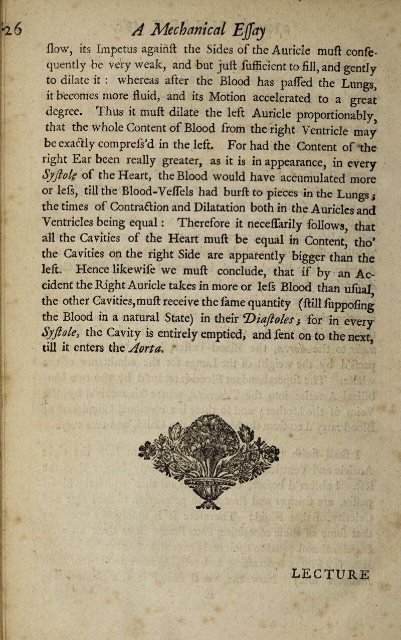 flow, its Impetus againft the Sides of the Auricle muft confe- quently be very weak, and but juft fufficient to fill, and gently to dilate it : whereas after the Blood has pafled the Lungs, it becomes more fluid, and its Motion accelerated to a great degree. Thus it muft dilate the left Auricle proportionably that the whole Content of Blood from the right Ventricle may be exactly comprefs’d in the left. For had the Content of the right Ear been really greater, as it is in appearance, in every Syjlole of the Heart, the Blood would have accumulated more or lefs, till the Blood-Veflels had burft to pieces in the Lungs j the times of Contraction and Dilatation both in the Auricles and Ventricles being equal: Therefore it neceflarily follows, that all the Cavities of the Heart muft be equal in Content, tho’ the Cavities on the right Side are apparently bigger than the left. Hence likewife we muft conclude, that if by an Ac¬ cident the Right Auricle takes in more or Ids Blood than ufual the other Cavities, muft receive the lame quantity (ftill luppofing the Blood in a natural State) in their ‘Diaftoles} for in every Syjlole, the Cavity is entirely emptied, and lent on to the next, till it enters the Aorta. LECTURE