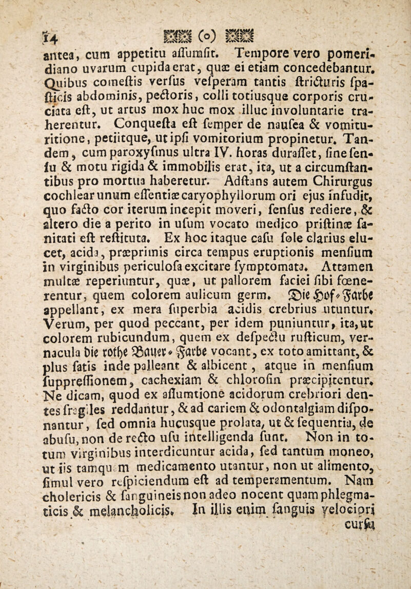 antea, cum appetitu aflumfit. Tempore vero pomeri- diano uvarum cupida erat, quae ei etiam concedebantur. Quibus comeftis verfus veiperam tantis ftritfturis fpa- fticis abdominis, peftoris, colli totiusque corporis cru¬ ciata eft, ut artus mox huc mox illuc involuntarie tra¬ herentur. Conquefta eft femper de naufea & vomitu- ritione, petiitque^utipfi vomitorium propinetur. Tan¬ dem, cum paroxyfmus ultra IV. horas duraflet, finefen- fu & motu rigida & immobilis erat, ita, ut a circumflan¬ tibus pro mortua haberetur. Adftans autem Chirurgus cochlear unum eflentiaecaryophyllorum ori ejus infudit, quo fafto cor iterum incepit moveri, fenfus rediere, & altero die a perito in ufum vocato medico priftinae fa- nitati eft reftituta. Ex hoc itaque cafu fole clarius elu¬ cet, acida, praeprimis circa tempus eruptionis menfiutn in virginibus periculofa excitare fymptomata. Attamen multae reperiuntur, quae, ut pallorem faciei fibi foene- rentur, quem colorem aulicum germ» £)ie appellant, ex mera fuperbia acidis crebrius utuntur. Verum, per quod peccant, per idem puniuntur, ita,ut colorem rubicundum, quem ex defpeilu rufticum, ver¬ nacula Die rotfye ^avbe vocant, ex toto amittant, & plus fatis inde palleant & albicent, atque in menfiutn fupprelfionem, cachexiam & chlorofin praecipjccntur. Ne dicam, quod ex aflumtione acidorum crebriori den¬ tes fragiles reddantur, & ad cariem & odontalgiam difpo- nantur, fed omnia hucusque prolata, ut & fequentia, de abufu.non dere&o ufu intelligenda funt. Non in to¬ tum virginibus interdicuntur acida, fed tantum moneo, ut iis tamqui m medicamento utantur, non ut alimento, fimul vero refpiciendum eft ad temperamentum. Nam cholericis & fanguineis non adeo nocent quam phlegma¬ ticis & melancholicis, in illis enim fanguis velociori