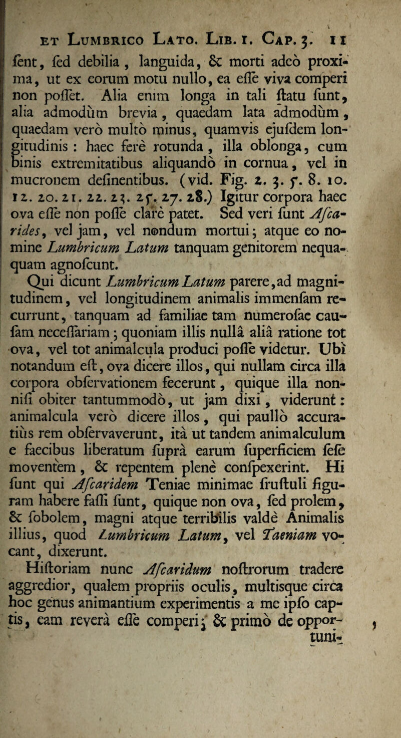 fent, fed debilia , languida, 8c morti adeo proxi¬ ma, ut ex eorum motu nullo, ea efle viva comperi non pollet. Alia enim longa in tali ftatu funt, alia admodum brevia , quaedam lata admodum , quaedam vero multo minus, quamvis ejufdem lon¬ gitudinis : haec fere rotunda , illa oblonga, cum binis extremitatibus aliquando in cornua, vel in mucronem delinentibus, (vid. Fig. 2. 3. f. 8. 10. iz. zo. zi. 22.23. zf. 27. 28.) Igitur corpora haec ova efle non polle clare patet. Sed veri funt Afca- rides, vel jam, vel nondum mortui; atque eo no¬ mine Lumbricum Latum tanquam genitorem nequa- quam agnofcunt. Qui dicunt Lumbricum Latum parere,ad magni¬ tudinem , vel longitudinem animalis immenlam re¬ currunt , tanquam ad familiae tam numerolae cau- lam neceflariam; quoniam illis nulla alia ratione tot ova, vel tot animalcula produci polle videtur. Ubi notandum eft, ova dicere illos, qui nullam circa illa corpora oblervationem fecerunt, quique illa non- nili obiter tantummodo, ut jam dixi, viderunt: animalcula vero dicere illos, qui paullo accura¬ tius rem oblervaverunt, ita ut tandem animalculum e faecibus liberatum fupra earum fuperliciem lele moventem , & repentem plene confpexerint. Hi funt qui Afcaridem Teniae minimae fruftuli figu¬ ram habere falli lunt, quique non ova, led prolem, & fobolem, magni atque terribilis valde Animalis illius, quod Lumbricum Latum, vel Taeniam vo¬ cant, dixerunt. Hiftoriam nunc Afcaridum noftrorum tradere aggredior, qualem propriis oculis, multisque circa hoc genus animantium experimentis a me iplb cap¬ tis, eam revera efle comperi j & primo de oppor¬ tuni-