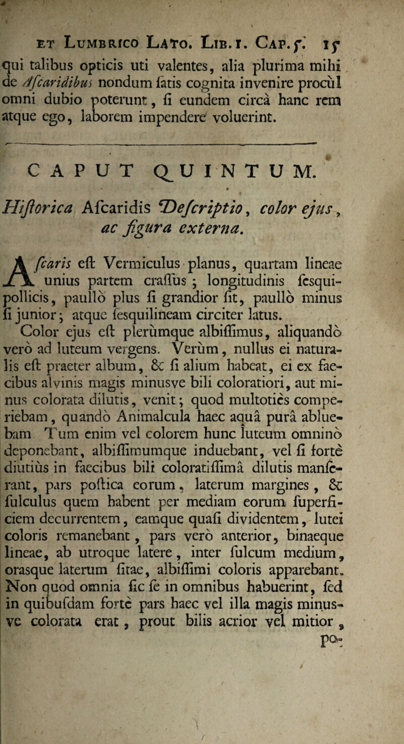 qui talibus opticis uti valentes, alia plurima mihi de dfcaridibus nondum fatis cognita invenire procul omni dubio poterunt, fi eundem circa hanc rem atque ego, laborem impendere voluerint. CAPUT (QUINTUM. » * # Hifiorica Afcaridis 'Dejcriptio, color ejus, ac figura externa. A [caris eft Vermiculus planus, quartam lineae unius partem crafTus ; longitudinis fesqui» pollicis, paullo plus fi grandior fit, paullo minus fi junior; atque fesquilineam circiter latus. Color ejus eft plerumque albiflimus, aliquando vero ad luteum vergens. Verum, nullus ei natura¬ lis eft praeter album, 6c fi alium habeat, ei ex fae¬ cibus alvinis magis minusve bili coloratiori, aut mi¬ nus colorata dilutis, venit; quod multoties compe- riebam, quando Animalcula haec aqua pura ablue¬ bam Tum enim vel colorem hunc luteum omnino deponebant, albiftimumque induebant, vel fi forte diutius in faecibus bili coloratiftima dilutis manfe- rant, pars poftica eorum, laterum margines, &; fulculus quem habent per mediam eorum fuperfi- ciem decurrentem, eamque quali dividentem, lutei coloris remanebant, pars vero anterior, binaeque lineae, ab utroque latere, inter fulcum medium, orasque laterum fitae, albifiimi coloris apparebant. Non quod omnia fle fe in omnibus habuerint, fed in quibufdam forte pars haec vel illa magis minus¬ ve colorata erat, prout bilis acrior vel mitior , po»