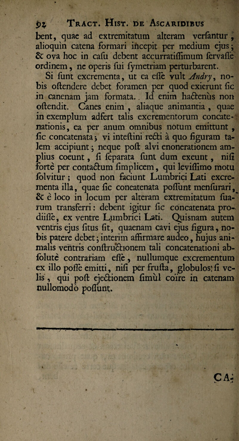 bent, quae ad extremitatum alteram verfantur , alioquin catena formari incepit per medium ejus; & ova hoc in cafu debent accurratiflimum fervafle ordinem, ne operis fui fymetriam perturbarent. Si funt excrementa, ut ea efle vult Andry, no¬ bis oftendere debet foramen per quod exierunt fic in canenam jam formata.. Id enim haCtenus non oflendit. Canes enim , aliaque animantia , quae in exemplum adfert talis excrementorum concate¬ nationis, ea per anum omnibus notum emittunt , fic concatenata; vi inteftini reCti a quo figuram ta¬ lem accipiunt; neque poft alvi enonerationem am¬ plius coeunt, fi feparata funt dum exeunt, nifi forte per contaCtum fimplicem, qui leviffimo motu folvitur ; quod non faciunt Lumbrici Lati excre¬ menta illa, quae fic coneatenata poflunt menfurari, & e loco in locum per alteram extremitatum fua- rum transferri: debent igitur fic concatenata pro- diifle, ex ventre Lumbrici Lati. Quisnam autem ventris ejus fitus fit, quaenam cavi ejus figura, no¬ bis patere debet; interim affirmare audeo, hujus ani¬ malis ventris conftruChonem tali concatenationi ab- folutc contrariam efle, nullumque excrementum ex illo pofle emitti, nifi per frufta, globulos ■ fi ve¬ lis , qui poft ejectionem fimul coire in catenam nullomodo poliunt;. \