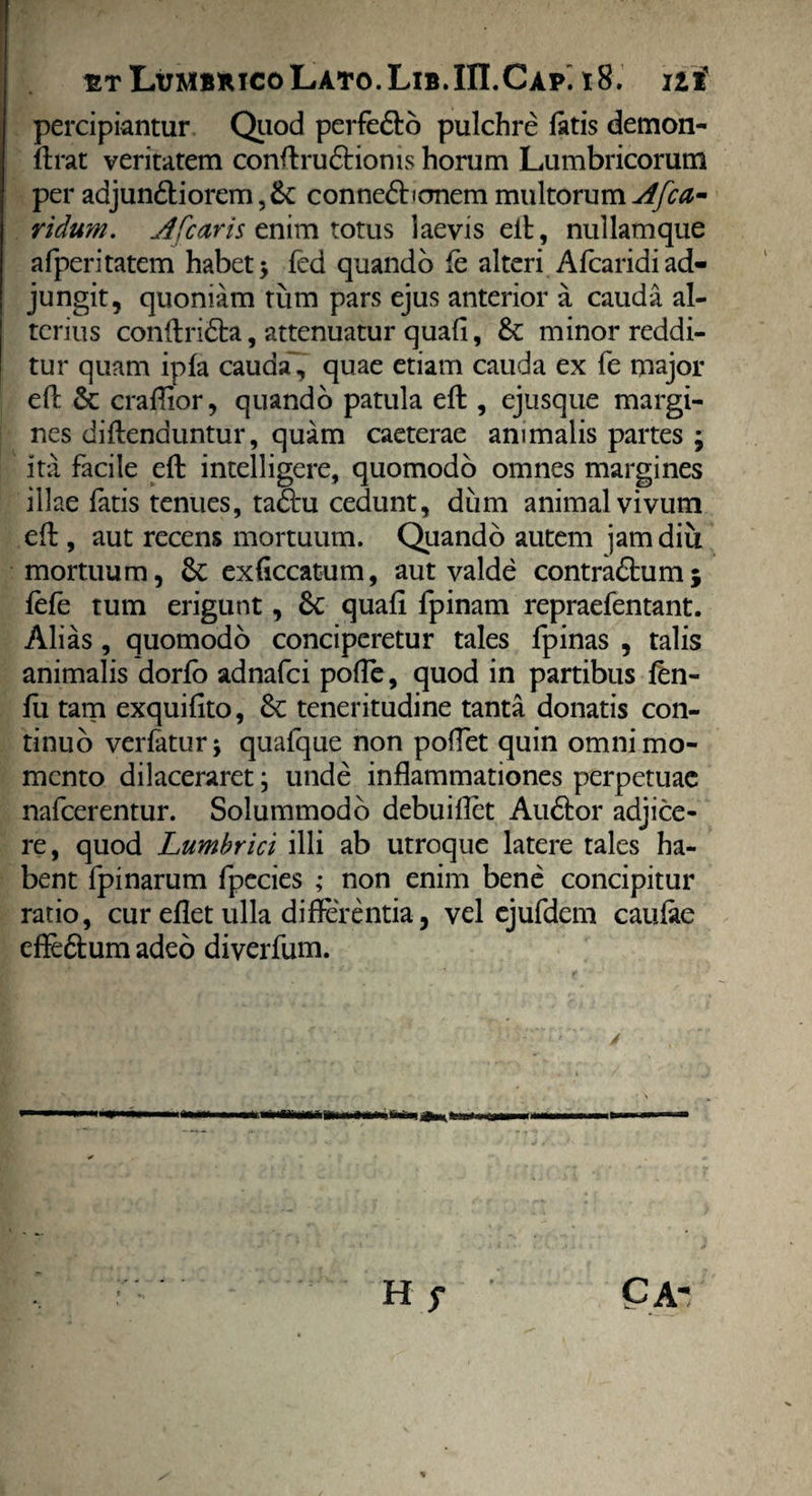 percipiantur Quod perfe&o pulchre latis demon- Urat veritatem conftruCtionis homm Lumbricorum per adjunctiorem conneCbonem multorum Afca- ridum. Afcaris enim totus laevis elt, nullamque afperitatem habet 5 fcd quando fe alteri Afcaridi ad¬ jungit, quoniam tum pars ejus anterior a cauda al¬ terius conltriCfca, attenuatur quali, & minor reddi¬ tur quam ipla cauda, quae etiam cauda ex fe major elt 5c craflior, quando patula elt, ejusque margi¬ nes diltenduntur, quam caeterae animalis partes ; ita facile elt intelligere, quomodo omnes margines illae latis tenues, taSru cedunt, dum animal vivum elt, aut recens mortuum. Quando autem jam diu mortuum, & exficcatum, aut valde contraChim; fefe tum erigunt, 6c quali fpinam repraefentant. Alias , quomodo conciperetur tales fpinas , talis animalis dorlo adnafei polTe, quod in partibus len¬ iti tam exquilito, 6c teneritudine tanta donatis con¬ tinuo vadatur* quafque non polfet quin omni mo¬ mento dilaceraret; unde inflammationes perpetuae nafcerentur. Solummodo debuiflet AuCtor adjice¬ re, quod Lumbrici illi ab utroque latere tales ha¬ bent fpinarum fpccies ,* non enim bene concipitur ratio, cur eflet ulla differentia, vel ejufdem caulae efle&um adeo diverfum.