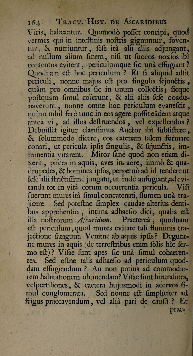 Vilis, habeantur. Quoifrodo poffet concipi, quod vermes qui in inteftinis noftris gignuntur, foven¬ tur, Sc nutriuntur, fefe ita alii aliis adjungant, ad nullum alium finem, niti ut fuccos noxios ibi contentos evitent, periculumque fic una effugiant ? Quodram eft hoc periculum ? Et fi aliquid adfit periculi, nonne majus eft pro fingulis fejun&is , quam pro omnibus fic in unum colle&isj ficque poftquam fimul coierunt, & alii aliis fefe coadu¬ naverunt , nonne omne hoc periculum evanefeit, quum nihil fere tunc in eos agere poflit eadem atque antea vi, ad illos deftruendos , vel expellendos ? Debuiffet igitur clariffimus Audtor ibi fubfiftere, folummodb dicere, eos catenam talem formare conari, ut pericula ipfis fingulis, Sc fejun£bis, im¬ minentia vitarent. Miror fane quod non etiam di¬ xerit, pifces in aquis, aves iru aere, immo & qua¬ drupedes, & homines ipfbs, perpetuo ad id tendere ut fefe alii ftridtifiime jungant, ut inde aufugiant,ad evi¬ tanda tot in vita eorum occurrentia pericula. Vifi fuerunt mures ita fimul concatenati, flumen una tra¬ jicere. Sed poteftne fimplex caudae alterius denti¬ bus apprehendo , intima adhaefio dici, qualis eft illa noftrorum A [caridum. Praeterea , quodnam eft periculum, quod mures evitare tali fluminis tra- jedtione fatagunt. Venitne ab aquis ipfis? Degunt- ne mures in aquis (de terreftribus enim folis hic fer- mo eft) ? Vifae funt apes fic una fimul cohaeren¬ tes. Sed eftne talis adhaefio ad periculum quod¬ dam effugiendum ? An non potius ad commodio¬ rem habitationem obtinendam? Vifae funt hirundines, vefpertiliones, caetera hujusmodi in acervos fi¬ mul conglomerata. Sed nonne eft {impliciter ad frigus praecavendum, vel alia pari de caufa ? Et prae-