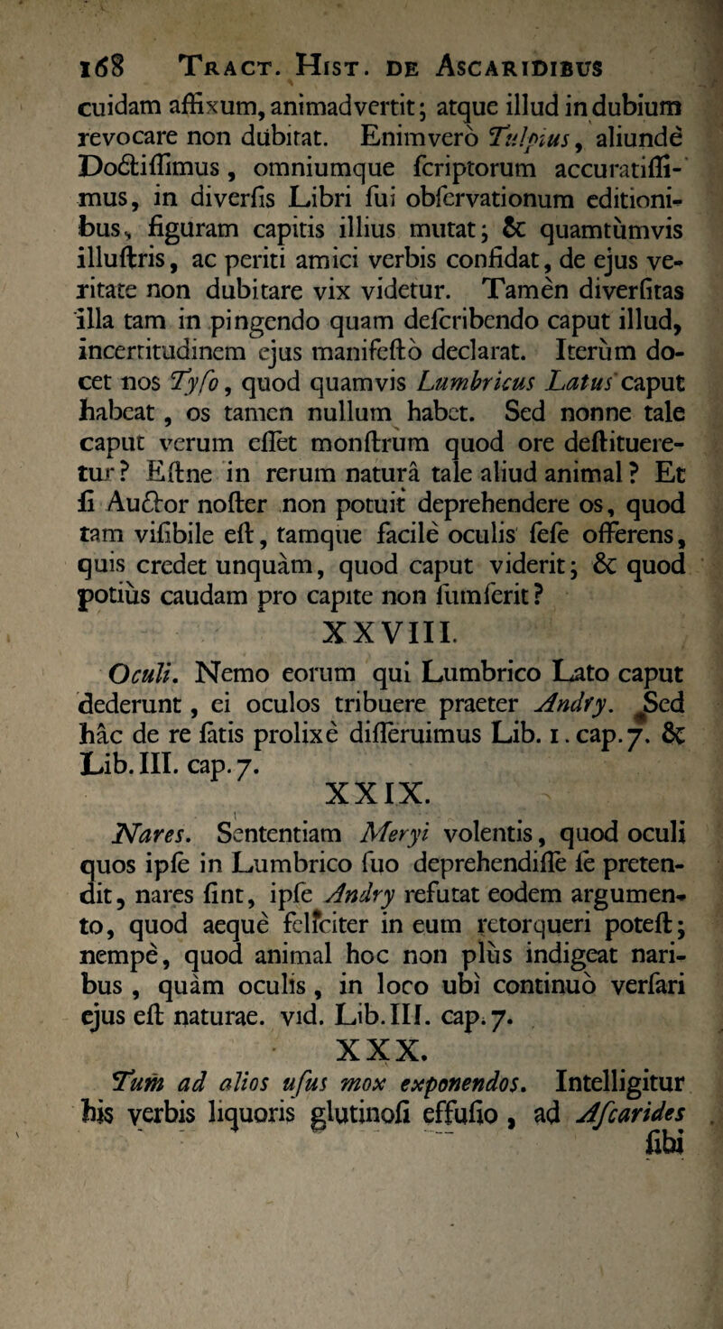cuidam affixum, animadvertit; atque illud indubium revocare non dubitat. Enimvero Tulpius, aliunde Dodtiffimus, omniumque feriptorum accuratiffi- mus, in diverfis Libri fui obfervationum editionis bus^ figuram capitis illius mutat; & quamtumvis illuftris, ac periti amici verbis confidat, de ejus ve¬ ritate non dubitare vix videtur. Tamen diverfitas illa tam in pingendo quam deferibendo caput illud, incerritudmem ejus manifefto declarat. Iterum do¬ cet nos Tyfo, quod quamvis Lumbricus Latus caput habeat, os tamen nullum habet. Sed nonne tale caput verum eflet monftrum quod ore deftituere- tur? Eftne in rerum natura tale aliud animal ? Et fi Aufror nofter non potuit deprehendere os, quod tam vifibile eft, tamque facile oculis fefe offerens, quis credet unquam, quod caput viderit; &C quod potius caudam pro capite non lumferit ? XXVIII. Oculi. Nemo eorum qui Lumbrico Lato caput dederunt, ei oculos tribuere praeter Andry. JSed hac de re fatis prolixe difleruimus Lib. i. cap.7. & Lib. III. cap. 7. XXIX. Nares. Sententiam Meryi volentis, quod oculi quos ipfe in Lumbrico fuo deprehendifle fe preten- dit, nares fint, ipfe Andry refutat eodem argumen¬ to, quod aeque fclfciter in eum retorqueri poteft; nempe, quod animal hoc non plus indigeat nari¬ bus , quam oculis, in loco ubi continuo verfari ejus eft naturae, vid. Lib. III. cap; 7. XXX. Tum ad alios ufus mox exponendos. Intelligitur his yerbis liquoris glutinofi effufio, ad Afcarides libi