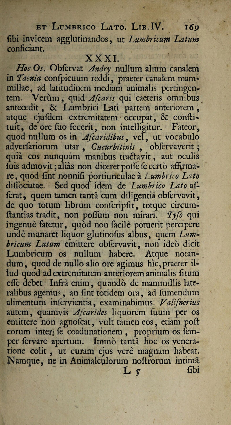 fibi invicem agglutinandos, ut Lumbricum Latum conficiant. XXXI. Hoc Os. Oblervat Andry nullum alium canalem in Taenia confpicuum reddi, praeter canalem mam¬ millae, ad latitudinem mediam animalis pertingen¬ tem. Verum, quid Afcaris qui caeteris omnibus antecedit, 8t Lumbrici Lati partem anteriorem , atque ejufdem extremitatem • occupat, & condi¬ tui t, de ore fuo fecerit, non intelligitur. Fateor, quod nullum os in Afcaridibus, vel, ut vocabulo adverfariorum utar , Cucurbitinis , obfcrvaverit; quia eos nunquam manibus tra&avit, aut oculis luis admovit; alias non diceret polle (e certo affirma¬ re, quod fint nonnifi portiunculae a Lumbrico Lato diflbciatae. Sed quod idem de Lumbrico Lato afi- lerat, quem tamen tanta cum diligentia obfervavit, de quo totum librum confcripfit, totque circum¬ dandas tradit, non polium non mirari. Tyfo qui ingenue fatetur, quod non facile potuerit percipere unde manaret liquor glutinofus albus, quem Lum¬ bricum Latum emittere obfervavit, non ideo dicit Lumbricum os nullum habere. Atque notan¬ dum , quod de nullo alio ore agimus hic, praeter il¬ lud quod ad extremitatem anteriorem animalis litum efie debet Infra enim, quando de mammillis late¬ ralibus agemur, an fint totidem ora, ad fumendum alimentum infervientia, examinabimus. Valifnerius autem, quamvis Aj carides liquorem fuum per os emittere non agnofeat, vult tamen eos, etiam poli eorum inter? fe coadunationem , proprium os fem- per fervare apertum. Immo tanta hoc os venera¬ tione colit , ut curam ejus vere magnam habeat. Namque, ne in Animalculorum noltrorum intima \y - L s fibi