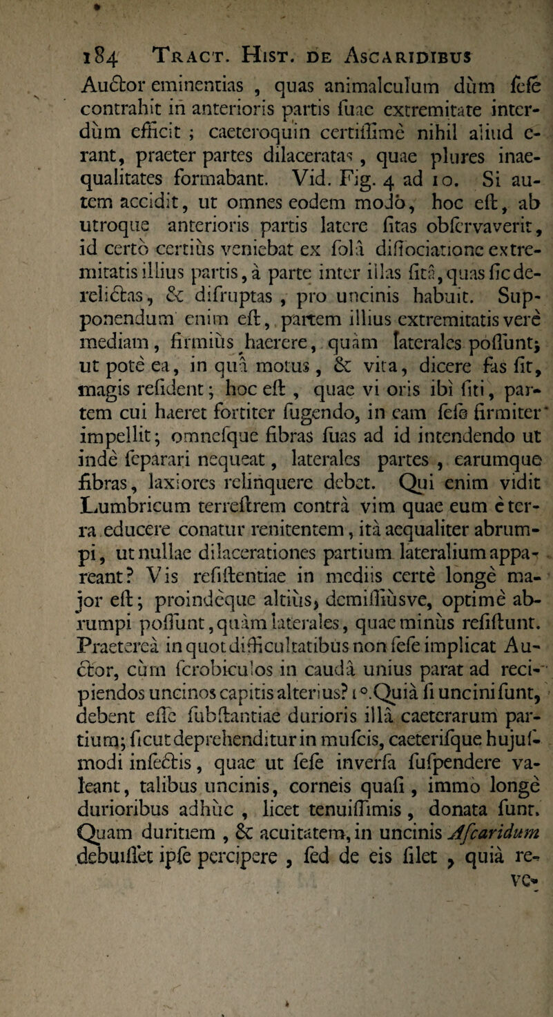 Au&or eminendas , quas animalculum dum fefe contrahit in anterioris partis Tuae extremitate inter¬ dum efficit ; caeteroquin certiffime nihil aliud c- rant, praeter partes dilaceratas , quae plures inae¬ qualitates formabant. Vid. Fig. 4 ad 10. Si au¬ tem accidit, ut omnes eodem modo, hoc eft, ab utroque anterioris partis latere litas obfervaverit, id certo certius veniebat ex fola difiociationc extre¬ mitatis illius partis,a parte inter illas lita,quaslicde- relictas, & difruptas , pro uncinis habuit. Sup¬ ponendum enim effc, partem illius extremitatis vere mediam, firmius haerere, quam laterales podlint* ut pote ea, in qua motus, & vita, dicere fas fit, magis refident; hoc eft , quae vi oris ibi liti, par* tem cui haeret fortiter fugendo, in eam fefe firmiter* impellit; omncfque fibras fuas ad id intendendo ut inde feparari nequeat, laterales partes , earumque fibras, laxiores relinquere debet. Qui enim vidit Lumbricum terreltrem contra vim quae eum e ter¬ ra educere conatur renitentem, ita aequaliter abrum¬ pi, ut nullae dilacerationes partium lateralium appa-r reant? Vis refiilentiae in mediis certe longe ma¬ jor eft; proindeque altius, demifiiusve, optime ab¬ rumpi poliunt, quam laterales, quae miniis refilhmt. Praeterea in quot difficultatibus non fefe implicat Au¬ ctor, cum fcrobieulos in cauda unius parat ad reci¬ piendos uncinos capitis alterius? i°.Quia fi uncini funt, debent effe fubftantiae durioris illa caeterarum par¬ tium; ficut deprehenditur in mufeis, caeterifque hujuf- modi infedtis, quae ut fefe inverfa fufpendere va¬ leant, talibus uncinis, corneis quafi , immo longe durioribus adhuc , licet tenuiffimis, donata funr. Quam duritiem , & acu ita tem, in uncinis Afcaridum debuiflet ipfe percipere , fed de eis filet 9 quia re- vo t