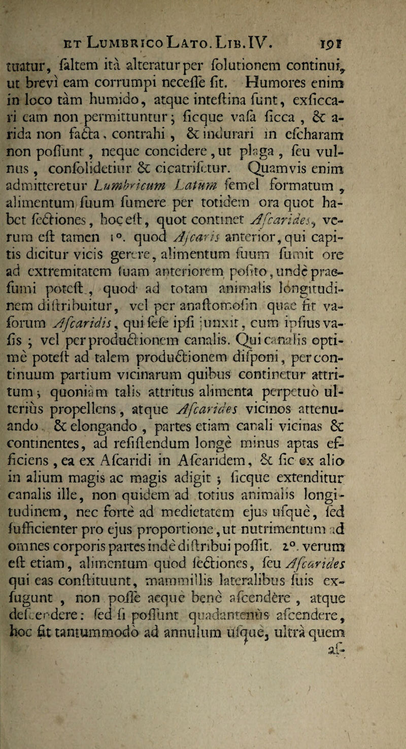 tuatur, faltem ita alteratur per folutionem continui, ut brevi eam corrumpi necefie fit. Humores enim in loco tam humido, atque inteftina fiunt, exficca- ri eam non permittuntur; ficque vafa ficca , & a- rida non fafta, contrahi , & indurari in cfcharam non pofiunr, neque concidere , ut plaga , feu vul¬ nus , conlblidetiur & cicatrifctur. Quamvis enim admitteretur Lumbricum Latum femel formatum , alimentum fuum fumere per totidem ora quot ha¬ bet (e£Hones, hoc eft, quot continet Afcarideve¬ rum eft tamen i°. quod Aj caris anterior, qui capi¬ tis dicitur vicis gerere, alimentum fuum fumit ore ad extremitatem luam anteriorem pofito ,undcprae- funii poteft., quod' ad totam animalis longitudi¬ nem diftribuitur, vel per anaftomofin quae fit va- forum A fc aridis, qui fide ipfi junxit, cum infiusva- fis ; vel per produci ionem canalis. Qui canalis opti¬ me potefi- ad talem produdtionem difponi, per con¬ tinuum partium vicinarum quibus continetur attri¬ tum j quoniam talis attritus alimenta perpetuo ul¬ terius propellens, atque Afcarides vicinos attenu¬ ando 5c elongando , partes etiam canali vicinas Sc continentes, ad refifiendum longe minus aptas ef¬ ficiens , ea ex Afearidi in Afcaridem, & fic ex alio in alium magis ac magis adigit ; ficque extenditur canalis ille, non quidem ad totius animalis longi¬ tudinem, nec forte ad medietatem ejusufque, led fufficienter pro ejus proportione, ut nutrimentum ;d omnes corporis partes inde diftribui polfit. z°. verum eft etiam, alimentum quod iedhones, feu Afcarides qui eas conftituunt, mammillis lateralibus fuis ex- fugunt , non poife aeque bene afeendere , atque def endere: fed fi pofiunr quadantenus afeendere.