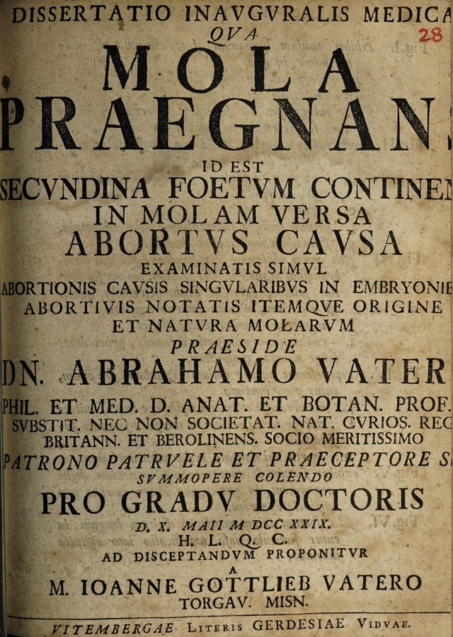 digitised image 1