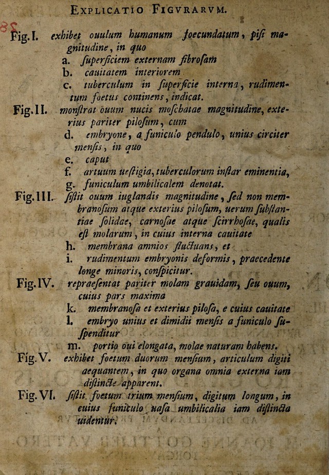 digitised image 2