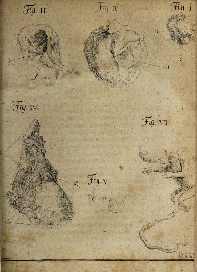 digitised image 3