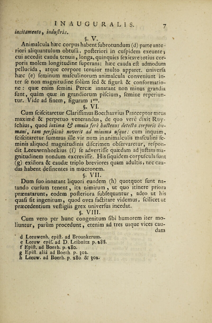 INAUGURALIS. incitamento, indujiria. §. V. Animalcula hxc corpus habent Tubrotundura (d) parte ante - riori aliquantulum obtufa, pofteriori in cufpidem exeunte; cui accedit cauda tenuis, longa,quinquies fexiesvetotius cor¬ poris molem longitudine fuperans: hxc cauda e it admodum pellucida , atque corpore tenuior multo apparet, univerfa haec (e) feminum maiculinorum animalcula conveniunt in¬ ter fe non magnitudine folum fed & figura & conformatio¬ ne : quae enim femini Percae innatant non minus grandia funt, quam quae in grandiorum pifeium, femine reperiun- tur. Vide ad finem, figuram iam. §. VI. Cum feifeitaretur ClarifHmus Boerhaavius Praeceptor meus maxime 8c perpetuo venerandus, de quo vere dixit Ruy- fchius, quod intima £5? omnia fere hattemis detetta corporis hu¬ mani, tam perfpicue noverit ad minima ufque: cum inquam, feifeitaretur fummus ille vir num inanimalculis mafculini fe¬ minis aliquod magnitudinis diferimen obfervaretur, refpon- dit Leeuwenhoekius (f) fe advertifTe quaedam ad juftam ma¬ gnitudinem nondum excrevifle. His fiquidem corpufcula funt (g) exi/iora 6c caudas triplo breviores quam adultis > nec cau¬ das habent delinentes in mucronem. VII. Dum fuo innatant liquori eundem (h) quotquot funt na¬ tando curfum tenent, ita nimirum, ut quo itinere priora prasnatarunt, eodem pofteriora fubfequantur, adeo ut his quafi fit ingenitum, quod oves fa&itare videmus, fcilicetuc praecedentium vefligiis grex univerfus incedat. , §. VIII. Cum vero per hunc congenitum fibi humorem iter mo¬ liuntur, parum procedunt, etenim ad tres usque vices cau¬ dam d Leeuwenh. epift. ad Brounkerum. e Leeuw epif. ad D. Leibnitz p. 188. f Epift. ad Boerh. p. 180. g Epift. alia ad Boerh. p. 302. h Leeuw. ad Boerh. p. 280 & 302.