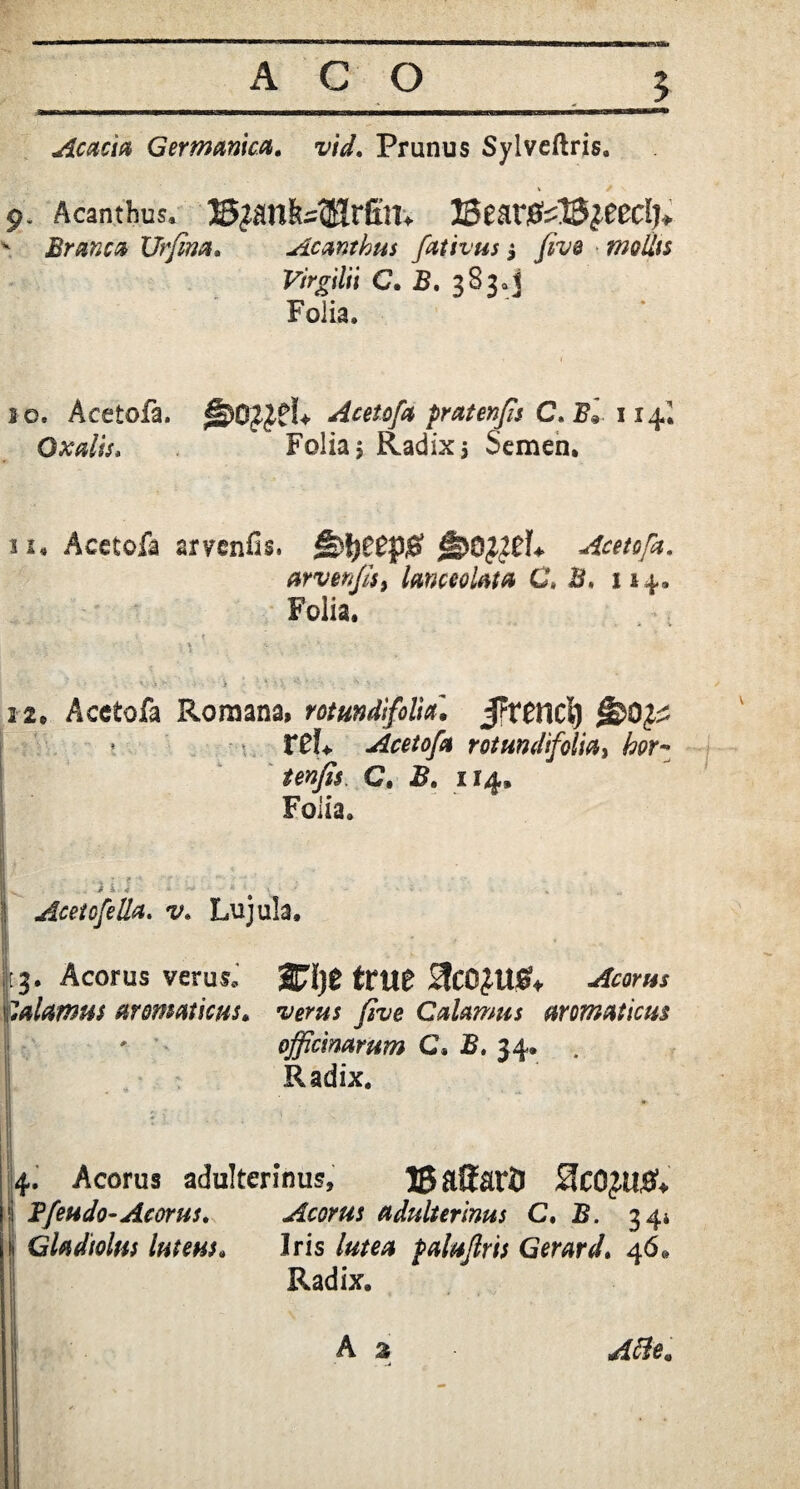 5 Acacia Germanica. vid. Prunus Sylvcftris. 9. Acanthus. ©janMHrSm Beartf^eeclj* ' Branca XJrfina» Acanthus fativus i five mollis Virgilii C. B. 3830] Folia. io» Acetofa. Acetofa pratenfis C. B* 114I Oxalis. Folia j Radix $ Semen. 11. Acetofa arvcnfis. tbt)e$p0 g&0}}Ch Acetofa. arverfis, Imceolata G, B, 114.» Folia. 12. Acetofa Romana, rotundifoli^ JTttncl) * rcL> Acetofa rotundfolia, C. 114. Folia, Acetofella. Lujula. [3. Acorus verus, 3Fi)£ true balamus aromaticus* verus five Calamus aromaticus ' officinarum C, 34. . Radix. 4. Acorus adulterinus, ©atotJ HcOjU#* i B [endo-Acorus* Acorus adulterinus C, B. 344 f Gladiolus luteus* Iris /##0 falujlris Gerard» 46. Radix.