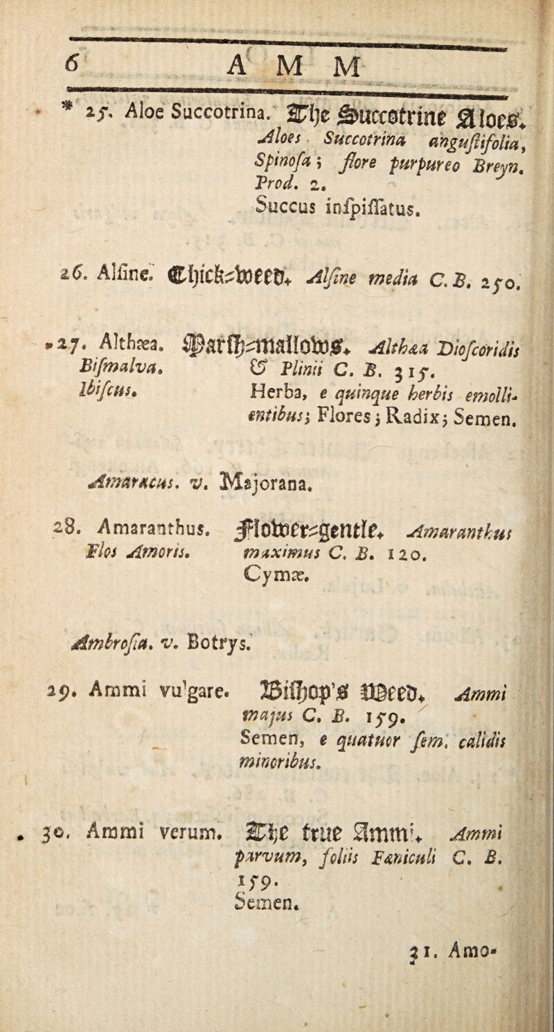 Aloe Succotrina.' JRje Slloc#. jlloes SuccQirim unguftifolia, Spinofa; purpureo Breyn. Prod. 2. Succus ioipiflatus. *<>• Alline.' djicfetottfc. ota/m c.£. 2yo. »27. Althaea. ^arff^mallotog* jQth** Diofcoridis Bifmalva. £? Plinii C. B. 315-. ibifcus* Herba, e quinque herbis emolli- entibus; Flores 3 Radix; Semen. Amaracus. v. Msjorana. 28. Amaranthus. Jflotoe^gentfe, Amaranthus Flos Amoris, vinximus C. B, 120. Cyma?. Amlrofm. Botrys. 29. Ammi vu!gare. 23iOj0p’jS majus C. B. iy9. Semen, e quatuor fem, calidis minoribus. . 30, Ammi verum. fute SmtrtT> parvum, foliis Paniculi C. B, \S9- Semen. 21. Amo- k