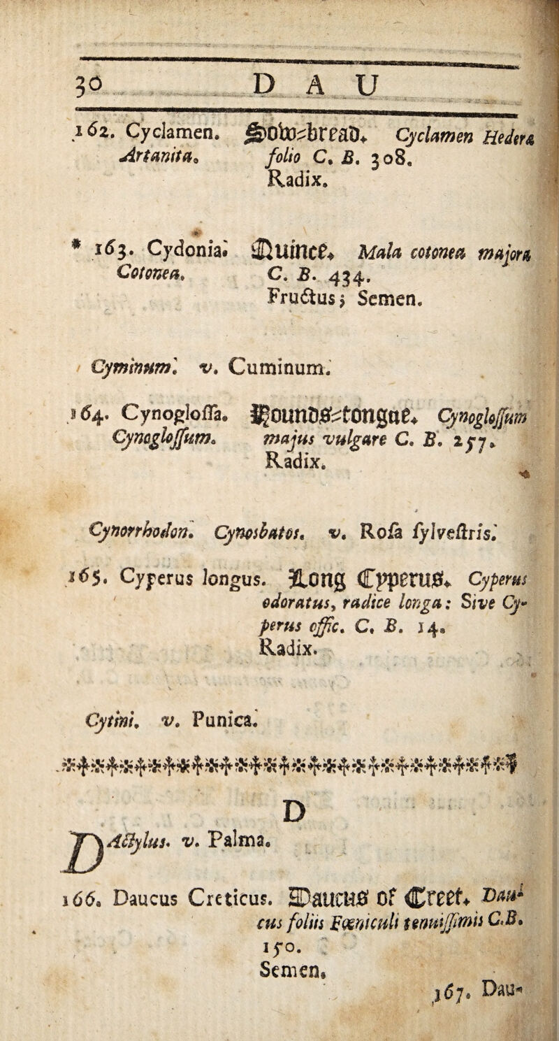 16z. Cyclamen. j&OtosbreaD» Cyclamen Hedtrt Artanita0 folio C. B. 208, Radix. * Cydonia* $}liinc& Mala cotonea majora Cotonea. C. B. 434. Fructus p Semen. Cyminum'* v. Cuminum. 154. Cynoglofla. JgOUnD^tOngiie* Cynoglojfm Cyncgloffum* majus vulgare C, B. 25-7. Radix. Cynorrhodort. Cynosbatos« v. Roia fylveftrisl 165. Cyyerus longus. JLOUg Cpp£ni& Cy/ww odoratus, radice longa: Sive Cy- perus offic. C. B. 14» Radix. Cytim. v. Punica* A&ylu D i. v. Palma, 166, Daucus Creticus. HDaUCH# Of CF£$V cus foliis Feniculi tenmjjimh C.E. iyo. Semen* 367. Dau-