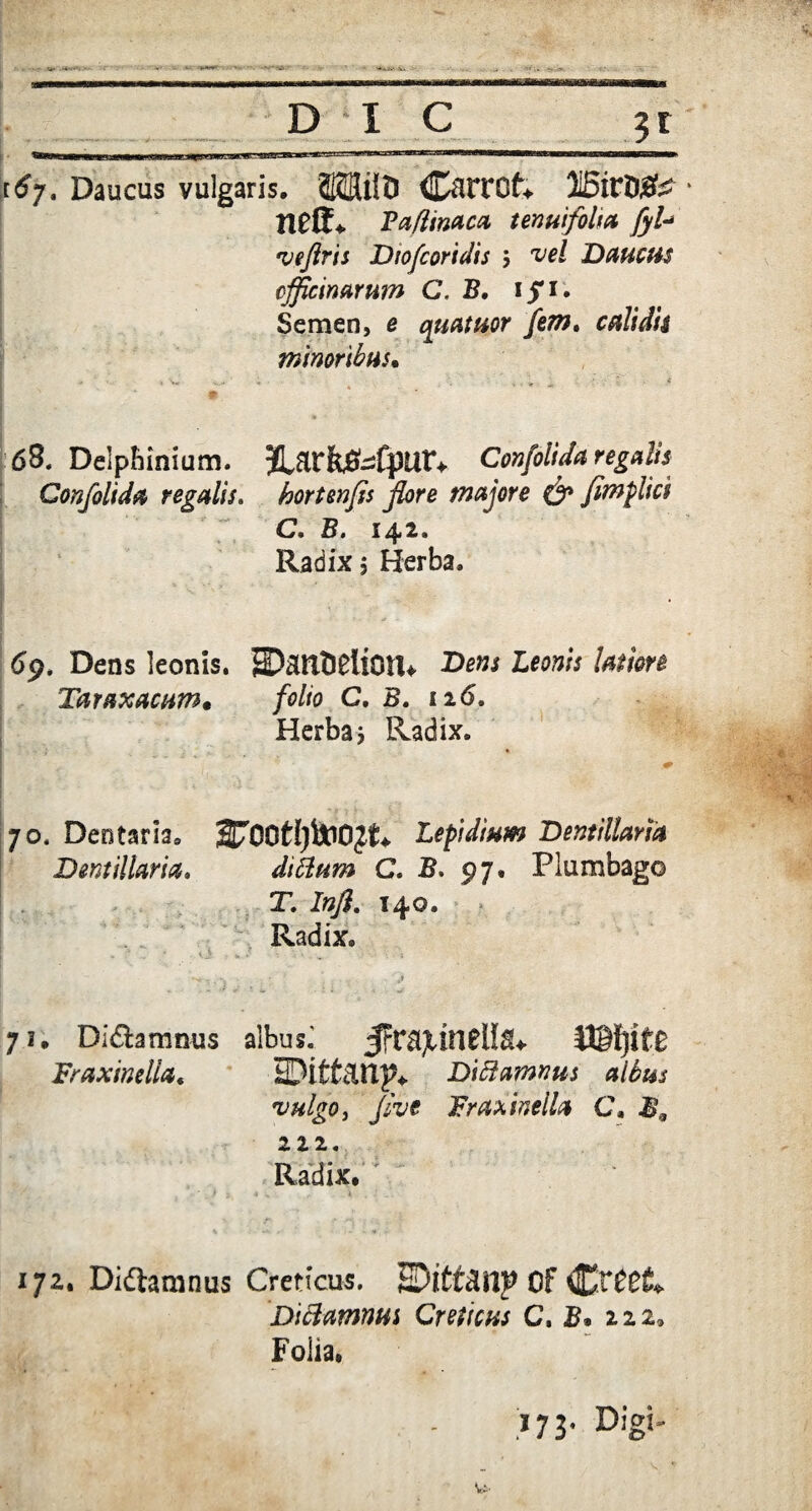 i6j. Daucus vulgaris. 3©Uit> <CaiT0f« JlBifDSfc neff. Faflinaca tenuifolia fyU veflris Diofcoridis $ vel Daucus officinarum C. B. ifi* Semen, e cyuatuor fem, calidis minoribus*  • «v — - • ' ■ 4 . . - ; : • 4 *• 63« Delpbinium. JLark^fpUtV Confolida regalis Confolida regalis, hortenfis flore majore & flmplici C. B. 142. Radix $ Herba. 69, Dens leonis. SD&ittlCllOtU Leonis latiore Taraxacum* folio C. B. 12 6. Herba3 Radix. 70. Deotariae Lepidium Dentillam Dentillam. dittum C. B. 97. Plumbago T. Infl. 140. Radix. • 'e .« * • * J - •» • ' • ' ♦ s 71. Diftammis albus! Jfra]tin0ll^ Fraxine lia c JPitt&Up* Dictamnus albus vulgo, //^e Fraxinella C, 222. Radix. ; j j 4 , ^ \ . 172. Di&amnus Creticus. HDlttfliip Of ^Xttw Dictamnus Creticus C. B. 222, Folia. >73’ Digi- Vi.