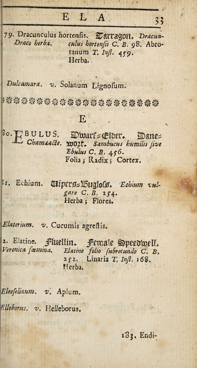 79- Dracunculus hortenfis. 27at*nigQlU Dracun- Draco herba, culus hortenfis C. B. 98. Abro- ranum X Infl. 45-9. Herba. . ! Dulcamaret* %>. Solanum Ugnofum; E so.T/ b u l u s, Wo3a.vi?<$im*. ©anes Chammcle, Sambucus humilis five. Ebulus C, B, 45*6. Folia j Radix 5 Cortex. ''D Hebrum. miper0sHBu$lofc Ecbium zut- gare C. B. 2/4. Herba ; Flores» HaSR^*- v * » ■ vvj 'Elatermm, v* Cucumis agreftis. * ii. Eiatine. jHuellm.. J*emate ©peeotoelf, [Veronica foemina. Elative folio fubrotundo C. B,, 25-2. Unaria X /#/?. 168. Herba. 1 ] - \ • « ■ • *' ■ ! Eleofeli, mum. v. Apium. Elleborus. v, Helleborus. jl8j. Endi»