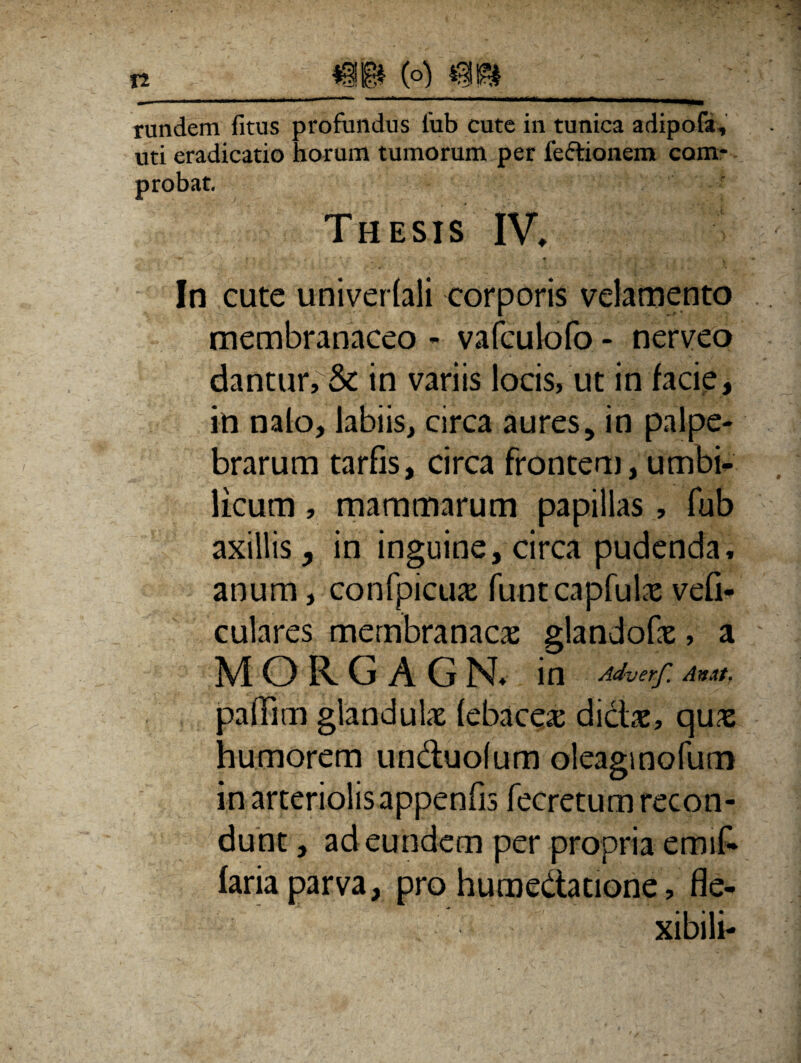 *gp (o) rundem fitus profundus fub cute in tunica adipofa, uti eradicatio horum tumorum per le&ionem com¬ probat. Thesis IV. In cute univerfali corporis velamento membranaceo - vafculofo - nerveo dantur, & in variis locis, ut in facie, in nalo, labiis, circa aures, in palpe¬ brarum tarfis, circa frontem, umbi¬ licum , mammarum papillas , fub axillis, in inguine, circa pudenda, anum, confpicuas funtcapfulx vefi- culares membranacas glandofas, a MORGAGR in Adverf. An At, paflim glandulas febacea: dictae, qux humorem unduofum oleaginofum in arteriolis appenfis fecretum recon¬ dunt , ad eundem per propria emif- faria parva, pro humedatione, fle¬ xibili-