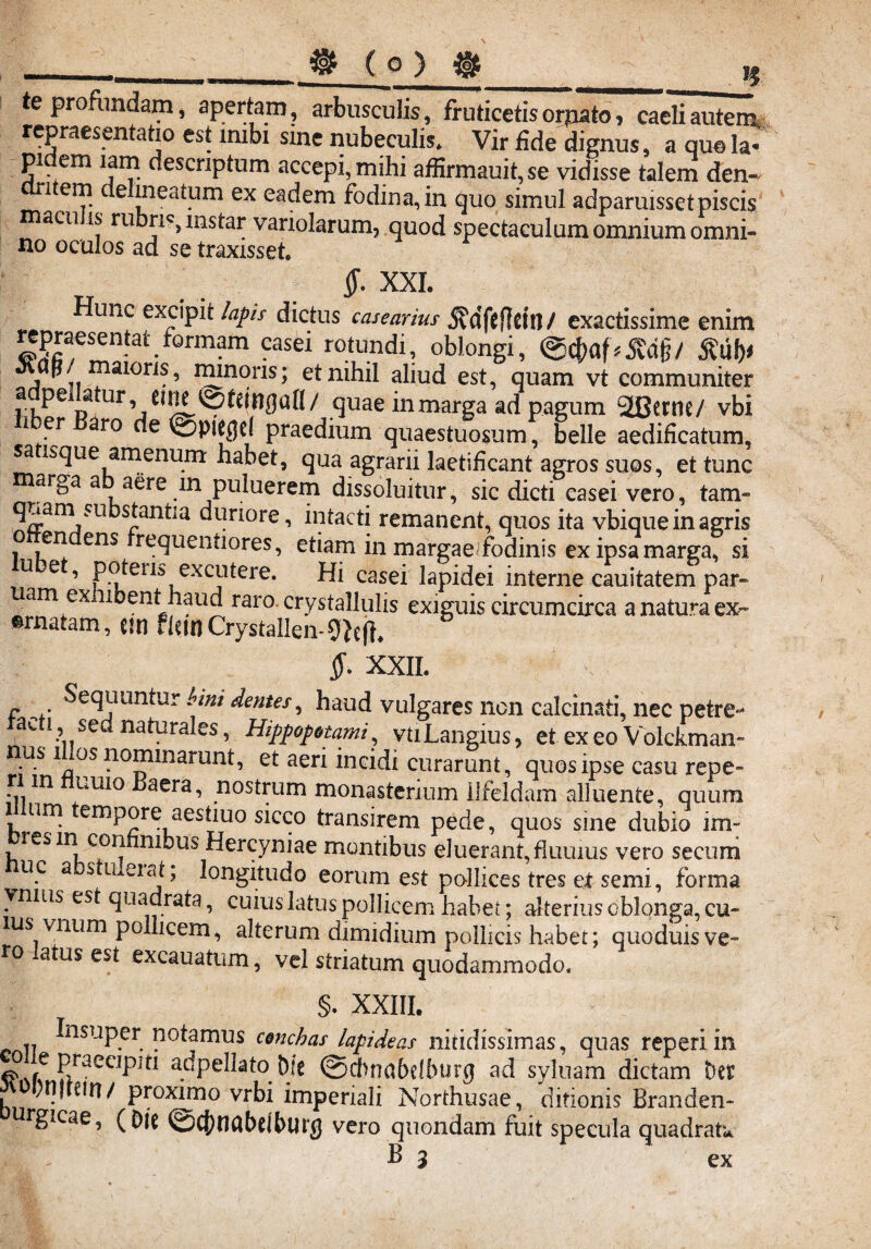 _ _ $ (O) $ te profundam, apertam, arbusculis, fruticetis orpato > caeli autem, repraesentatio est inibi sine nubeculis. Vir fide dignus, a quo la¬ pidem lam descriptum accepi, mihi affirmauit,se vidisse talem den- i em c e meatum ex eadem fodina, in quo simul adparuisset piscis macu is rubri?, mstar variolarum, quod spectaculum omnium omni¬ no oculos ad se traxisset. §. XXL Hunc excipit lapis dictus casearius SVdftfltitt/ exactissime enim ^praesentat for-mam casei rotundi, oblongi, ©<&af*SM§/ fflfa jlap/ maions, minoris; et nihil aliud est, quam vt communiter ?/eipa quaeinmarga ad pagum SEBertlC/ vbi i er aro de ©picgel praedium quaestuosum, belle aedificatum, sa isque amenum habet, qua agrarii laetificant agros suos, et tunc marga a aere m puluerem dissoluitur, sic dicti casei vero, tam- stantia duriore, intacti remanent, quos ita vbique in agris ? r n. ens recluen*Iores, etiam in margae^fodinis ex ipsa marga, si U e ’ Pierii excutere. Hi casei lapidei interne cauitatem par¬ cam ex libent haud raro. crystallulis exiguis circumcirca a natura ex¬ ornatam, cm fleti) CrystaUen-9lcfi# $. XXII. Sequuntur bini dentes, haud vulgares non calcinati, nec petre-* tacti, sed naturales, Hippopotami, vtiLangius, et ex eo Volckman- nus i os nominarunt, et aeri incidi curarunt, quos ipse casu repe¬ ti m liU1° aera’ nostrum monasterium llfeldam alluente, quum nm empore aestiuo sicco transirem pede, quos sine dubio im- res in confinibus Hercyniae montibus eluerant, fluuius vero secum U.c a SU£Ia|> longitudo eorum est pollices tres et semi, forma \nnis est quadrata, cuius latus pollicem habet; alterius oblonga, cu¬ ius vnum pollicem, alterum dimidium pollicis habet; quoduis ve¬ ro latus est excauatum, vel striatum quodammodo. §. XXIII. 1T ^nsuP.er. potamus conchas lapideas nitidissimas, quas reperi in HraeciPifl a5*peJIato bte @d)nrtbelbur(j ad syluam dictam Der .nfrem/ proximo vrbi imperiali Northusae, ditionis Branden- urgicae, (Die vero quondam fuit specula quadrat* B 3 ex