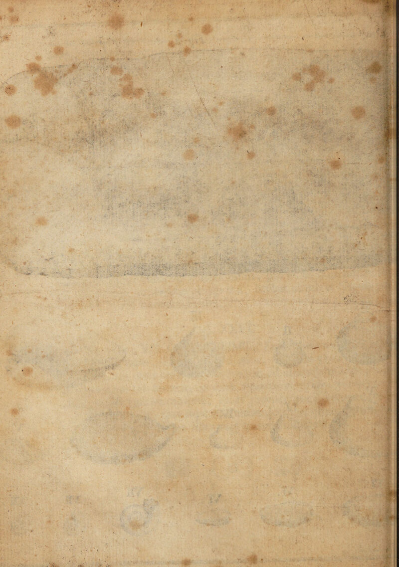 > / , ■Vv‘ •%V «rsV' •. f