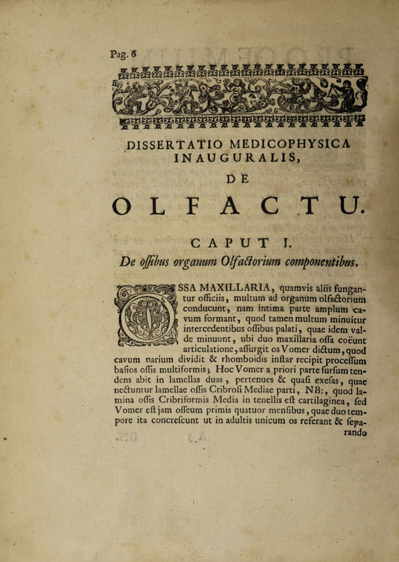 DISSERTATIO MEDICOPHYSICA INAUGURALIS, D E - ■ • i OLFACTU. CAPUT I. De ojjibus organum Olfattorium componentibus. SSA MAXILLARIA3 quamvis aliis fungan¬ tur officiis, multum ad organum olfa&orium conducunt, nam intima parte amplum ca¬ vum formant, quod tamen multum minuitur intercedentibus offibus palati, quae idem val¬ de minuunt, ubi duo maxillaria offa coeunt articulatione, aflurgit os Vomer di£him,quod cavum narium dividit & rhomboidis inftar recipit proceffiim bafios offis multiformis 5 Hoc Vomer a priori parte furfum ten¬ dens abit in lamellas duas, pertenues & quali exefas, quae ne&untur lamellae offis Cribroli Mediae parti, NB:, quod la¬ mina offis Cribriformis Media in tenellis eft cartilaginea, fed Vomer eftjam offieum primis quatuor menfibus, quae duo tem¬ pore ita concrcfcunt ut in adultis unicum os referant & repa¬ rando i