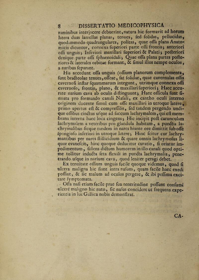 raminibus interjacere debuerint,natura hic formavit ad horum latera duas lamellas planas, tenues, fed folidas, pellucidas, quodammodo quadrangulares, politas, quae offa plana Anato¬ micis dicuntur, connexa fuperiori parte olli frontis 3 anteriori offi unguis 3 Inferiori maxillari fuperiori & Palati 5 pofteriori denique parte offi fphaenoidali 3 Quae offa plana partes pofte- riores& iaterales orbitae formant, & fimul illos nempe oculos, a naribus feparant. His accedunt offa unguis (ofllum planorum complementa, funt bra&eolae tenues, offeae, fat folidae, quae cavernulas offis cavernofi inftar fquammarum integunt, utrimque connexa offi cavernofo, frontis, plano, 6c maxillari fuperiori 3 Haec accu¬ rate narium cava ab oculis diftinguuntj Haec officula funt fi¬ rmata pro formando canali Nafali, ex cantho oculi interno originem ducente fimul cum offe maxillari in utroque latere, primo apertus efl; &c compreffilis, fed tandem pergendo undi¬ que oflibus cin&us ufque ad faecum lachrymalem, qui eft mem¬ brana interna haec loca cingens 3 Hic incipit poft carunculam lachrymalem a veteribus pro glandula habitam, a pundtis la- chrymalibus ficquc tandem in nares hiante ore dimittit fubofle fpongiofo inferiori in utroque latere3 Hinc fcitur cur lachry- mantibus per nares ftillicidium 6c quare omnis lachrymofus li¬ quor evanefeit, hinc quoque deducitur curatio, fi oriatur im¬ pedimentum, fillens di&um humorem in illo canali quod opti¬ me tollitur indu&a feta flexili in pundta lachrymalia, pene¬ trando ufque in narium cava, quod leniter peragi debet. Ex tenuitate oflium unguis facile quoque videmus, quod fi ulcera maligna hic fiant intra nafum, quam facile haec exedi poflint, 8c fic malum ad oculos pergere, & ibi peflima exci¬ tare fymptomata. - Offa nafi etiam facile prae fua teneritudine poffunt confumi •ulcere maligno hic nato, fic nafus concidere ut frequens expe- „ nentia in luc Gallica nobis demonflrat. CA-