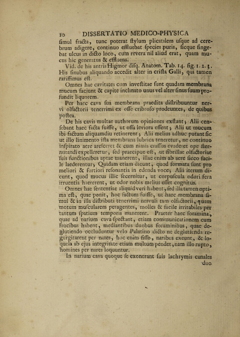 fimul fra&a, tunc poterat ftylum plicatilem ufque ad cere¬ brum adigere, continuo effluebat fpecies puris, ficque finge¬ bat ulcus in dido loco, cum revera nil aliud erat, quam mu¬ cus hic generatus St effluens. Vid. de his antrisHigmor difq. Anatom. Tab. 14. fig. 1.2..}. His finubus aliquando accedit alter in crifla Galli, qui tamen rarifflmus eft. Omnes hae cavitates cum inveflitae funt quadam membrana mucum faciunt St capite inclinato unus vel alter finusfuum pro¬ fundit liquorem. Per haec cava fua membrana praedita diftribuuntur ner¬ vi olfadorii tenerrimi ex ofTe cribrofo prodeuntes, de quibus poftea. De his cavis multae authorum opiniones exftant* Alii cen- febant haec fada fuifle, ut offa leviora effent* Alii ut mucum ibifadum aliquamdiu retinerent* Alii melius adhuc putant fic ut illo linimento ifta membrana lubrica teneretur, ne continuo infpirato aere arefeeret St cum nimis craffus evade?et ope fter- nutandiexpelleretur, fed praecipue eft, ut fibrillae olfactoriae fuis fundionibus aptae manerent, illae enim ab aere ficco faci¬ le laederentur* Quidam etiam dicunt, quod formata funt pro meliori St fortiori refonantia in edenda voce; Alii iterum di¬ cunt, quod mucus illic fecernitur, ut corpulcula odori fera irruentia haererent, ut odor nobis melius effet cognitus. Omnes hae fententiae aliquid veri habent, fed illa tamen opti¬ ma eft, quae ponit, hoc fadum fuifle, ut haec membrana fi- rnul St in illa diftributi tenerrimi nervuli tam olfadorii, quam motum mufcularem peragentes, molles St facile irritabiles per tantum fpatium temporis manerent. Praeter haec foramina,, quae ad narium cava fpe&ant, etiam communicationem cum faucibus habent, mediantibus duobus foraminibus, quae de- glutiendo occluduntur velo Palatino dido ne deglutknda re- gurgitarent per nares, hoc enim fiffb, naribus exeunt, St lo¬ quela ab ejus integritate etiam multum pendet, nam illo rupto, homines per nares loquuntur. In narium cava quoque fe exonerant fuis lachrymis canales duo,