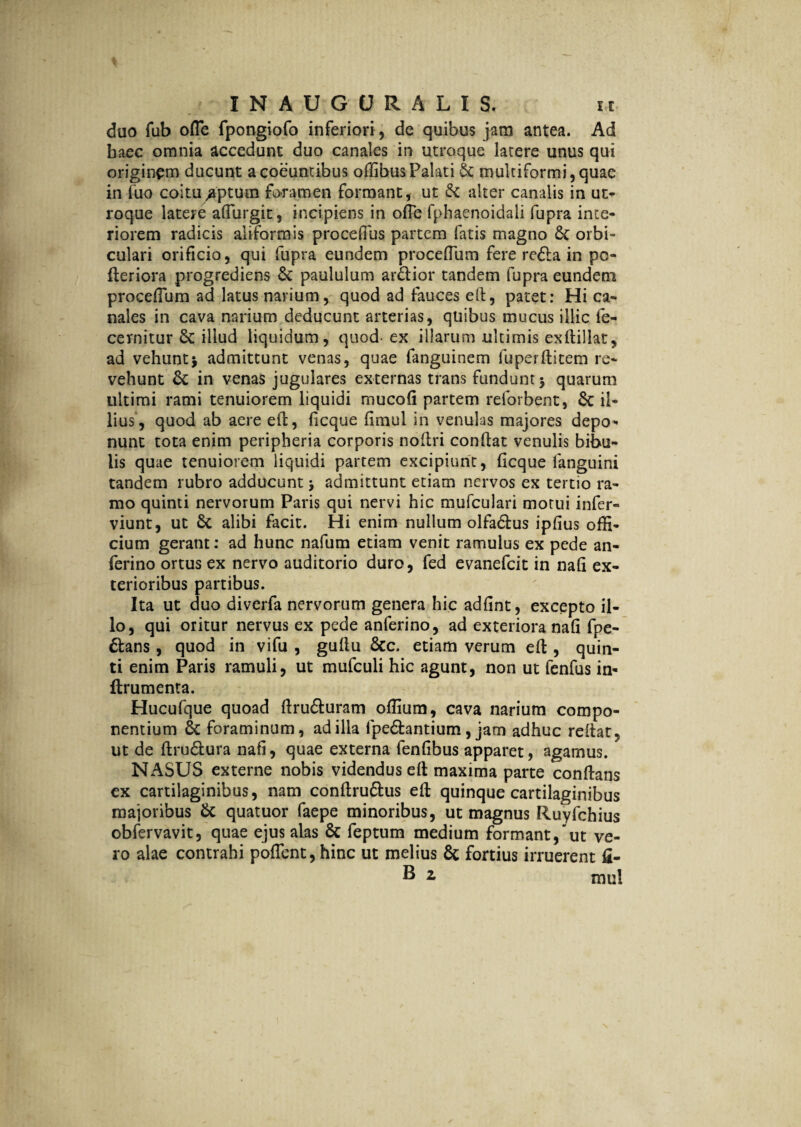 duo fub ofle fpongiofo inferiori , de quibus jam antea. Ad haec omnia accedunt duo canales in utroque latere unus qui originem ducunt a coeuntibus offibus Palati & multiformi, quae in fuo coitu .aptum foramen formant, ut & alter canalis in ut¬ roque latere afiurgit, incipiens in ofie fphaenoidali fupra inte¬ riorem radicis aliformis procdlus partem fatis magno £c orbi¬ culari orificio, qui fupra eundem proceflum fere re£la in po- fleriora progrediens 6c paululum ardior tandem fupra eundem proceflum ad latus narium, quod ad fauces ell, patet: Hi ca¬ nales in cava narium deducunt arterias, quibus mucus illic fe- cernitur & illud liquidum, quod- ex illarum ultimis exdillat, ad vehuntj admittunt venas, quae fanguinem fuperditem re¬ vehunt in venas jugulares externas trans fundunt > quarum ultimi rami tenuiorem liquidi mucod partem reforbent, il¬ lius', quod ab aere ed, ficque dmul in venulas majores depo¬ nunt tota enim peripheria corporis nodri condat venulis bibu¬ lis quae tenuiorem liquidi partem excipiunt, ficque fanguini tandem rubro adducunt $ admittunt etiam nervos ex tertio ra¬ mo quinti nervorum Paris qui nervi hic mufculari motui infer- viunt, ut 6c alibi facit. Hi enim nullum olfa&us ipfius offi¬ cium gerant: ad hunc nafum etiam venit ramulus ex pede an- ferino ortus ex nervo auditorio duro, fed evanefcit in nafi ex¬ terioribus partibus. Ita ut duo diverfa nervorum genera hic adfint, excepto il¬ lo, qui oritur nervus ex pede anferino, ad exteriora nafi fpe- ttans , quod in vifu , gudu &c. etiam verum ed , quin¬ ti enim Paris ramuli, ut mufculi hic agunt, non ut fenfus in- ftrumenta. Hucufque quoad dru&uram offium, cava narium compo¬ nentium foraminum, ad illa lpe&antium, jam adhuc redat, ut de drudlura nafi, quae externa fenfibus apparet, agamus. NASUS externe nobis videndus ed maxima parte condans cx cartilaginibus, nam condruftus ed quinque cartilaginibus majoribus & quatuor faepe minoribus, ut magnus Ruyfchius obfervavit, quae ejus alas & feptum medium formant/ut ve¬ ro alae contrahi poflent, hinc ut melius 8c fortius irruerent fi- B 2. mul