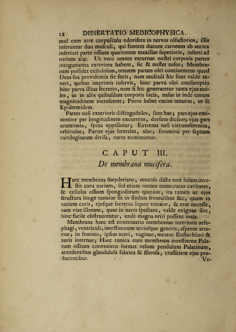 mul cum aere corpufcula odorifera in nervos olfa&orios, illis inferuntur duo mufculi, qui fontem ducunt carneum ab antica inferiori parte offium quartorum maxillae fuperioris, inferti ad narium alas. Ut vero omnes externae noftri corporis partes integumenta exteriora habent, fic fic nofter nafus$ Membra¬ nam poffidet cellulofam, tenuem parum olei continentem quod Deusfua providentia fic fecit, nam mufculi hic funt valde te¬ neri, quibus imprimis infervit, hinc parva olei confumptio hinc parva illius fecretio,nam fi hic generaretur tanta ejus mo¬ les, ut in aliis quibufdam corporis locis, nafus in inde coram magnitudinem increfcerct 5 Porro habet cutim tenuem , ut fic Epidermidem. Partes nafi exterioris diftinguibiles, funthaej parsejusemi- nentior per longitudinem excurrens, dorfum dicitur* ejus pars acuminata, fpma appellaturj Extrema nafi circumferentia, orbiculus5 Partes ejus laterales, alae> foramina per feptum cartilagineum divifa, nares nominantur. CAPUT III. De membrana muci fer a. aec membrana fneyderiana, mucofa dififa non foluminve- JLjL ftit cava narium, ied etiam omnes memoratas cavitates, fic cellulas offium fpongioforum quatuor, ita tamen ut ejus ftrufitura longe tenuior fit in finibus frontalibus fiec, quam in narium cavis, ejufque fecretus liquor tenuior, fic erat neceflc, nam viae illorum, quae in nares fpefifant, valde exiguae fint, hinc facile obfiruerentur, unde magna oriri poflent mala. Membrana haec eft continuatio membranae interioris aefo- phagi, ventriculi,inteftinorum utriufque generis, afperae arte¬ riae j in feminis, ipfius uteri, vaginae,meatus Euftachiani fic auris internae 5 Haec tunica cum membrana inveftiente Pala¬ tum ofieum conveniens format velum pendulum Palatinum, accedentibus glandulofa fabrica fic fibrofa, craffitiem ejus pro¬ ducentibus. Ve-