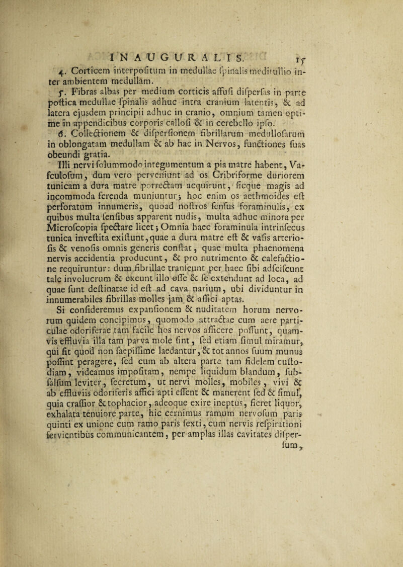 4. Corticem interpofitum in medullae fpinalis meditullio in¬ ter ambientem medullam. f. Fibras albas per medium corticis affiufi difperfiis in parre poltica medullae fpinalis adhuc intra cranium latentis, & ad latera ejusdem principii adhuc in cranio, omnium tamen opti¬ me in appendicibus corporis callofi & in cerebello ipfo. <5. ColleCtionem & difperfionem fibrillarum medullofarum in oblongatam medullam 6c ab hac in Nervos, fundtiones fuas obeundi gratia. Illi nervi folummodo integumentum a pia matre habent, Va- fculofum , dum vero perveniunt ad os Cribriforme duriorem tunicam a dura matre porreCtam acquirunt, ficque magis ad incommoda ferenda muniuntur* hoc enim os aethmoides eft perforatum innumeris, quoad noftros fenfus foraminulis, ex quibus multa fenfibus apparent nudis, multa adhuc minora per Microfcopia fpe&are licet * Omnia haec foraminula intrinfecus tunica inveftita exiftunt,quae a dura matre eft 8c vafis arterio¬ lis & venofis omnis generis conftac, quae multa phaenomena nervis accidentia producunt, & pro nutrimento calefactio¬ ne requiruntur: dum fibrillae tranfeunt per haec fibi adfcifcunt tale involucrum & exeunt illo offie & fe extendunt ad loca, ad quae funt deftinatae id eft ad cava narium, ubi dividuntur in innumerabiles fibrillas molles jam 6c affici aptas. Si confideremus expanfionem & nuditatem horum nervo¬ rum quidem concipimus, quomodo attraChe cum aere parti¬ culae odoriferae tam facile hos nervos afficere poffiunt, quam¬ vis effluvia illa tam parva mole fint, fed etiam fimul miramur, qui fit quod non faepiflime laedantur, 6c tot annos fuum munus poffint peragere, fed cum ab altera parte tam fidelem cufto- diam, videamus impofitam, nempe liquidum blandum, fub- falfum leviter, fecretum, ut nervi molles, mobiles, vivi 6c ab effluviis odoriferis affici apti effient & manerent fed 6c fimul, quia craffior &tophacior, adeoque exire ineptus, fieret liquor, exhalata tenuiore parte, hic cernimus ramum nervofutn paris quinti ex unione cum ramo paris fexti, cum nervis refpirationi fervientibus communicantem, per amplas illas cavitates difper- fura T