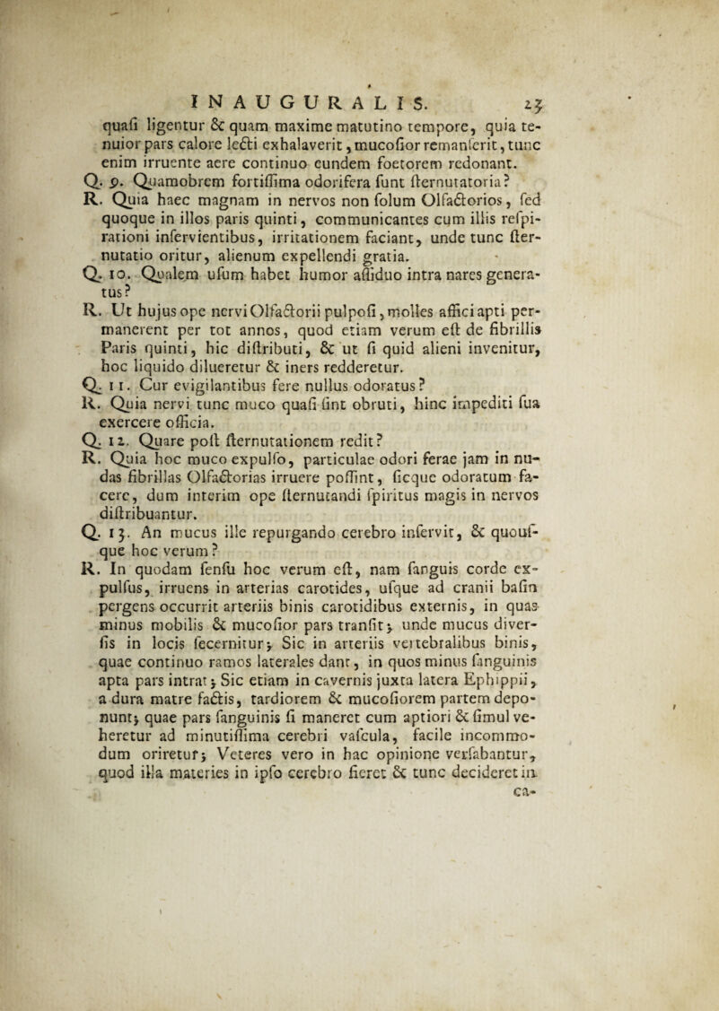 quali ligentur 6c quam maxime matutino tempore, quia te¬ nuior pars calore le£ti exhalaverit, mucofior remanlerit, tunc enim irruente aere continuo eundem foetorem redonant. Q. p. Quamobrem fortiffima odorifera funt fternutatoria? R. Quia haec magnam in nervos non folum Olfa&orios, fed quoque in illos paris quinti, communicantes cum iliis refpi- rationi infervientibus, irritationem faciant, unde tunc fter- nutatio oritur, alienum expellendi gratia. Q. io. Qualem ufum habet humor afliduo intra nares genera¬ tus? R. Ut hujus ope nervi Glfaflorii pulpofi, molles affici apti per¬ manerent per tot annos, quod etiam verum eft de fibrillis Paris quinti, hic diftributi, & ut fi quid alieni invenitur, hoc liquido dilueretur iners redderetur. Q:- Cur evigilantibus fere nullus odoratus? R. Quia nervi tunc muco quafi lint obruti, hinc impediti fua exercere officia. Q^ iz. Quare poli fternutationem redit? R. Quia hoc muco expulfo, particulae odori ferae jam in nu¬ das fibrillas Olfactorias irruere poffint, ficque odoratum fa¬ cere, dum interim ope fternucandi fpiritus magis in nervos diflribuantur. Q. 13. An mucus ille repurgando cerebro infervit, & quoui- que hoc verum ? R. In quodam fenfu hoc verum eft, nam fanguis corde ex~ pulfus, irruens in arterias carotides, ufque ad cranii bafin pergens occurrit arteriis binis carotidibus externis, in quas minus mobilis & mucofior pars tranfit> unde mucus diver- fis in locis fecernitury Sic in arteriis veitebralibus binis, quae continuo ramos laterales dant, in quos minus fanguinis apta pars intrat > Sic etiam in cavernis juxta latera Ephippii, a dura matre fadlis, tardiorem & mucofiorem partem depo¬ nunt^ quae pars fanguinis fi maneret cum aptiori Sefimul ve¬ heretur ad minutiftima cerebri vafcula, facile incommo¬ dum oriretur> Veteres vero in hac opinione verfabantur, quod illa materies in ipfo cerebro fieret: tunc decideretin ca-