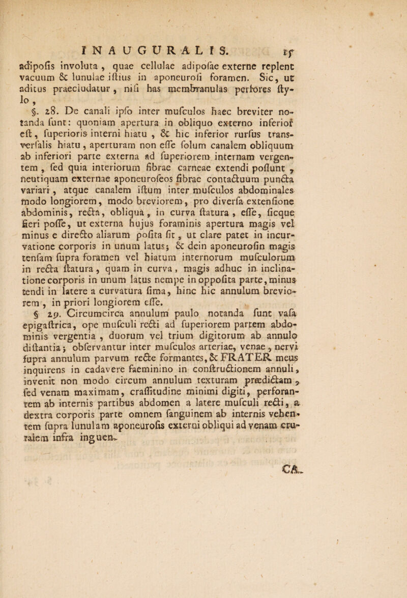 adipofis involata , quae cellulae adipofae externe replent vacuum 6c lunulae i ili us in aponeurojj foramen. Sic, ut: aditus praecludatur, niu has membranulas perfores fly- lo» §. 28. De canali ipfo inter mufculos haec breviter no¬ tanda funt: quoniam apertura in obliquo externo inferior efl, fuperioris interni hiatu , 8c hic inferior rurfus trans- verfalis hiatu , aperturam non effe folum canalem obliquum ab inferiori parte externa ad fuperiorem internam vergen¬ tem , fed quia interiorum fibrae carneae extendi poliunt r neutiquam externae aponeurofeos fibrae conta&uum pun&a variari , atque canalem illum inter mufculos abdominales modo longiorem, modo breviorem, pro diverfa extenfione abdominis, reda, obliqua, in curva flatura , efle, ficque fieri pofFe, ut externa hujus foraminis apertura magis vel minus e direSlo aliarum pofita fit, ut clare patet in incur¬ vatione corporis in unum latus j 6e dein aponeurofin magis tenfam fupra foramen vel hiatum internorum mufculorum in reda flatura, quam in curva , magis adhuc in inclina¬ tione corporis in unum latus nempe inoppofita parte,minus tendi in latere a curvatura fima, hinc hic annulum brevio¬ rem , in priori longiorem e (Te. § 2.9. Circumcirca annulum paulo notanda funt vafa epigaflrica, ope mufculi redi ad fuperiorem partem abdo¬ minis vergentia , duorum vel trium digitorum ab annui© di flanda j ©bfervantur inter mufculos arteriae, venae, nervi fupra annulum parvum rede formantes, 5c FRATER meus inquirens in cadavere faeminlno in conflrudiooem annuli 3 invenit non modo circum annulum texturam preedidam 9 fed venam maximam, craflitudine minimi digiti, perforan¬ tem ab internis partibus abdomen a latere mufculi redi, & dextra corporis parte omnem fanguinem ab internis vehens tem fupra lunulam aponeurofis externi obliqui ad venam cru- talem infra inguen*. CJL. ' !