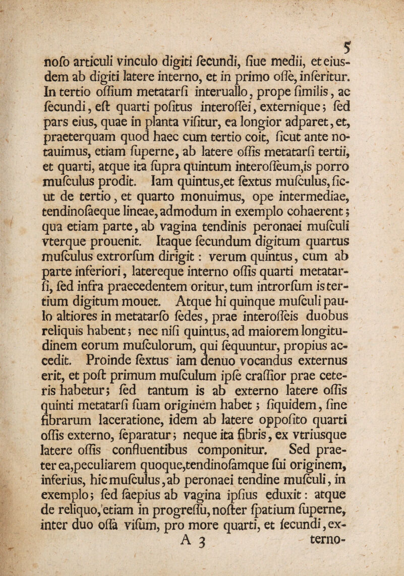 r $ nofo articuli vinculo digiti fecundi, fiue medii, et eius¬ dem ab digiti latere interno, et in primo ode, inferitur. In tertio offium metatarfi interuallo, prope fimilis, ac fecundi, eft quarti politus interoflei, externique; fed pars eius, quae in planta vilitur, ea longior adparet, et, praeterquam quod haec cum tertio coit, ficut ante no- tauimus, etiam luperne, ab latere offis metatarfi tertii, et quarti, atque ita lupra quintum interofleum,is porro mulculus prodit. Iam quintus,et fextus mulculus, fic¬ ut de tertio, et quarto monuimus, ope intermediae, tendinofaeque lineae, admodum in exemplo cohaerent; qua etiam parte, ab vagina tendinis peronaei mulculi vterque prouenit. Itaque fecundum digitum quartus mulculus extrorliim dirigit: verum quintus, cum ab parte inferiori, latereque interno offis quarti metatar¬ fi, fed infra praecedentem oritur, tum introrlum is ter¬ tium digitum mouet. Atque hi quinque mulculi pau¬ lo altiores in metatarlo ledes, prae interofleis duobus reliquis habent; nec nili quintus, ad maiorem longitu¬ dinem eorum mulculorum, qui fequuntur, propius ac¬ cedit. Proinde lextus iam denuo vocandus externus erit, et poft primum mufculum iple craffior prae cete¬ ris habetur; led tantum is ab externo latere offis quinti metatarfi luam originem habet; fiquidem, fine fibrarum laceratione, idem ab latere oppofito quarti offis externo, leparatur; neque ita fibris, ex vtriusque latere offis confluentibus componitur. Sed prae¬ ter ea,peculiarem quoque,tendinolamque lui originem, inferius, hic mulculus, ab peronaei tendine mulculi, in exemplo; led laepius ab vagina ipfius eduxit: atque de reliquo,'etiam in progreflii, nolter Ipatium luperne, inter duo ofla vilum, pro more quarti, et fecundi, ex- A 3 - terno-