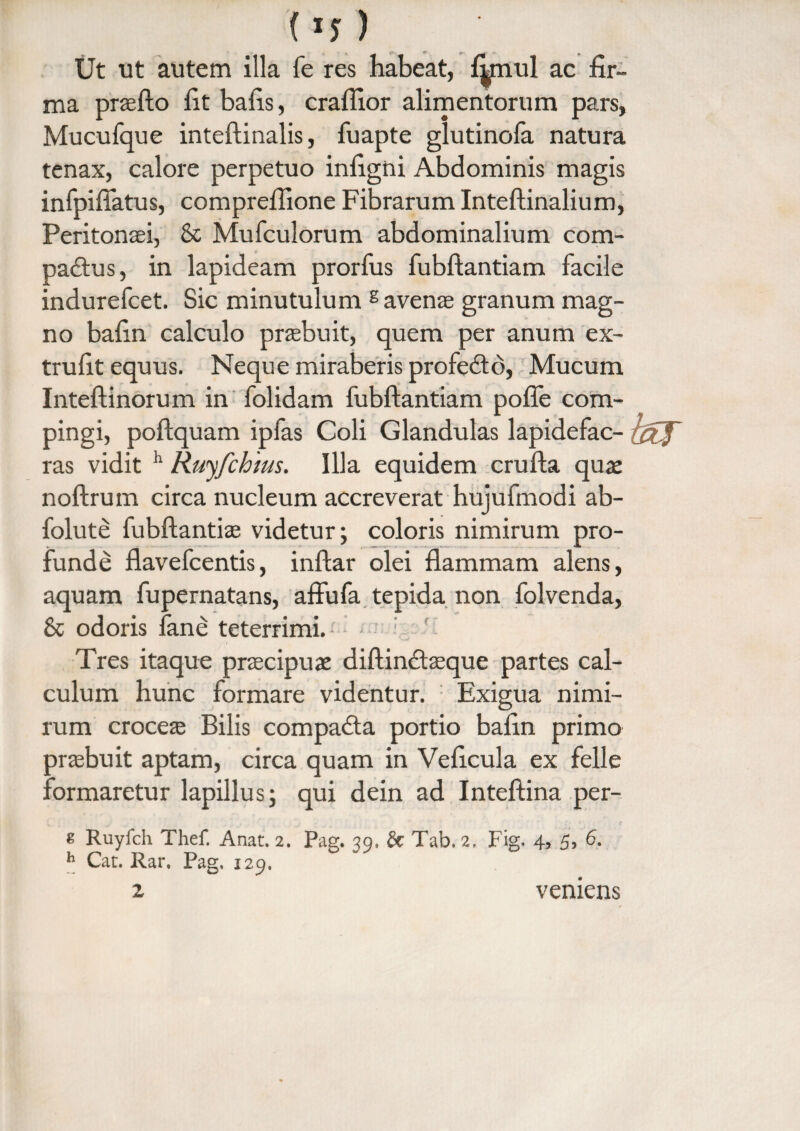 (*y) Ut ut autem illa fe res habeat, fimul ac fir¬ ma praefto fit bafis, crafiior alimentorum pars, Mucufque inteftinalis, fuapte glutinola natura tenax, calore perpetuo infigni Abdominis magis infpiflatus, compreftione Fibrarum Inteftinalium, Peritonaei, & Mufculorum abdominalium com- padtus, in lapideam prorfus fubftantiam facile indurefcet. Sic minutulum s avenae granum mag¬ no bafin calculo praebuit, quem per anum ex- trufit equus. Neque miraberis profedtb, Mucum Inteftinorum in folidam fubftantiam pofle com¬ pingi, poftquam ipfas Coli Glandulas lapidefac- ras vidit h Ruy/chms. Illa equidem crufta quae noftrum circa nucleum accreverat hujufmodi ab- folute fubftantiae videtur; coloris nimirum pro¬ funde flavefcentis, inftar olei flammam alens, aquam fupernatans, affufa tepida non folvenda, & odoris fane teterrimi. -' - f : f Tres itaque praecipuae diftinct aeque partes cal¬ culum hunc formare videntur. Exigua nimi¬ rum croceae Bilis compadta portio bafin primo praebuit aptam, circa quam in Veficula ex felle formaretur lapillus; qui dein ad Inteftina per- s Ruyfch Thef. Anat. 2. Pag. 39. & Tab. 2. Fig. 4, 5, 6. h Cat. Rar. Pag. 129. 2 vemens