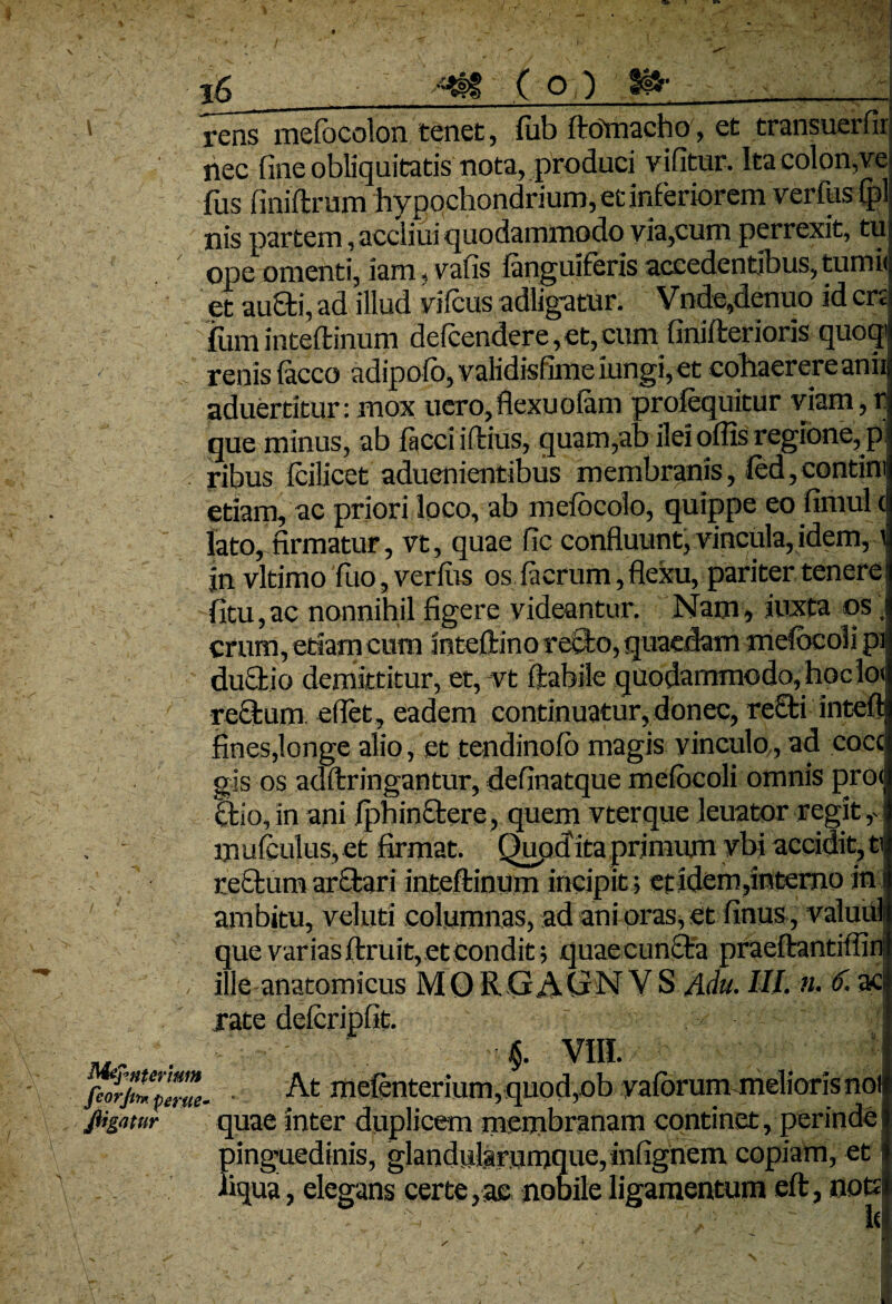 \ 16 ( o ) %!*• ' rens mefocolon Cenet, fub ftflmacho, et transuerfir nec fine obliquitatis nota, produci vifitur. Ita colon,ve fus finiftrum hypochondrium, et inferiorem verflisfpl nis partem, accliui quodammodo via,cum perrexit, tu ope omenti, iam, vafis {anguiferis accedentibus, tum ii et aufti, ad illud vifcus adligatur. Vnde,denuo id crt fum inteffcinum defcendere, et, cum finiflerioris quoqi renis facco adipofo, validisfimc iungi, et cohaerereanii aduertitur: mox uero, fiexuoiam profequitur viam ,Tl que minus, ab faeci iffcius, quam,ab ilei offis regione, p ribus fcilicet aduenientibus membranis, fed, contiro etiam, ac priori loco, ab mefocolo, quippe eo fimul d lato, firmatur, vt, quae fic confluunt, vincula, idem, \ jn vltimo fuo, verius os facrum,flexu, pariter tenere’ Mefinterrnm feorjin* perne- fligatur fitu,ac nonnihil figere videantur. Nam, juxta os, erum, etiam cum inteftino refto, quaedam mefocoli pi ductio demittitur, et,-vt flabile quodammodo, hoclo< reclum edet, eadem continuatur,donec, recti intefl fines,longe alio, et tendinofb magis vinculo., ad cocc gis os adflringantur, definatque mefocoli omnis pro< ctio, in ani fph in clere, quem vterque leuator regit mufculus,et firmat. Qupcfita primum ybi accidit, t reftum arctari inteftinum incipit; et idem,interno in ambitu, veluti columnas, ad ani oras, et finus, valuul que varias flruit, et Condit; quae cuncta praeflantiflin ille anatomicus MORGACiNV S Adu. III. n. 6. ac rate defcripfit. VIIL At mefenterium,quod,ob vaforum meliorisnol quae inter duplicem membranam continet, perinde pinguedinis, glandularumque, infignem copiam, et liqua, elegans certe ,ae nobile ligamentum efl, noK