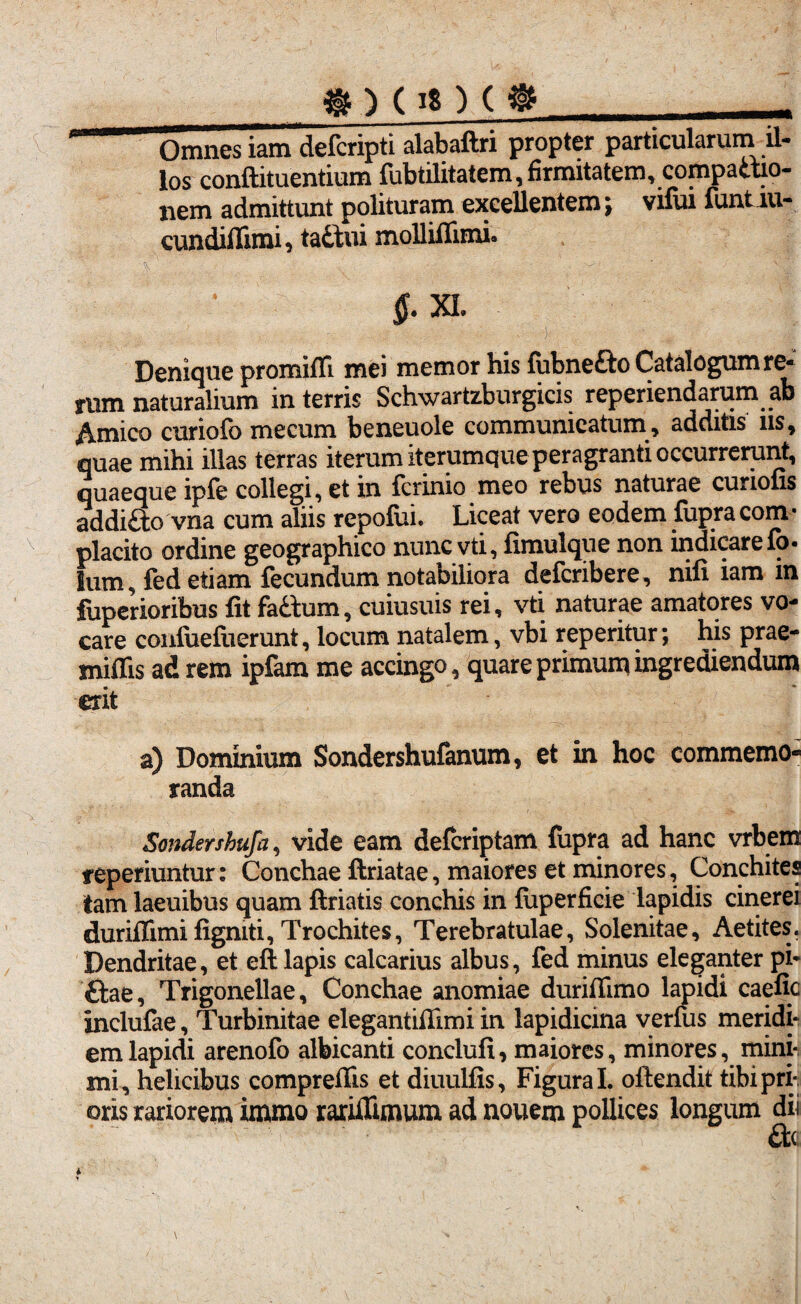 #)(!«)(# Omnes iam defcripti alabaftri propter particularum il¬ los conftituentium fubtilitatem, firmitatem, compattio- nem admittunt polituram excellentem; vilui funtiu- cundiflimi, tactui moUiilimi. §. XI. Denique promifli mei memor his fubnefto Catalogum re* rum naturalium in terris Schwartzburgicis reperiendarum ab Amico curiofo mecum beneuole communicatum , additis ns, quae mihi illas terras iterum iterumque peragranti occurrerunt, quaeque iple collegi, et in {crinio meo rebus naturae curiofis addi&o vna cum aliis repofui. Liceat vero eodem fupra com • placito ordine geographico nunc vti, fimulque non indicare io- fum, fed etiam fecundum notabiliora defcribere, nifi iam in fuperioribus fit fa&um, cuiusuis rei, vti naturae amatores vo¬ care conluefiierunt, locum natalem, vbi reperitur; his prae- miflis ad rem ipfam me accingo, quare primum ingrediendum exit a) Dominium Sondershufanum, et in hoc commemo¬ randa Sondershufa, vide eam defcriptam fupra ad hanc vrbem teperiuntur: Conchae ftriatae, maiores et minores, Conchites Iam laeuibus quam ftriatis conchis in fuperficie lapidis cinerei duriflimi figmti, Trochites, Terebratulae, Solenitae, Aetites. Dendritae, et eft lapis calcarius albus, fed minus eleganter pL ftae, Trigonellae, Conchae anomiae duriifimo lapidi caefic inclufae, Turbinitae elegantiffimi in lapidicina verfus meridi¬ em lapidi arenofo albicanti conclufi, maiores, minores, mini¬ mi, helicibus compreffis et diuulfis, Figura I. oftendit tibi pri¬ oris rariorem immo rariflimum ad nouem pollices longum dii