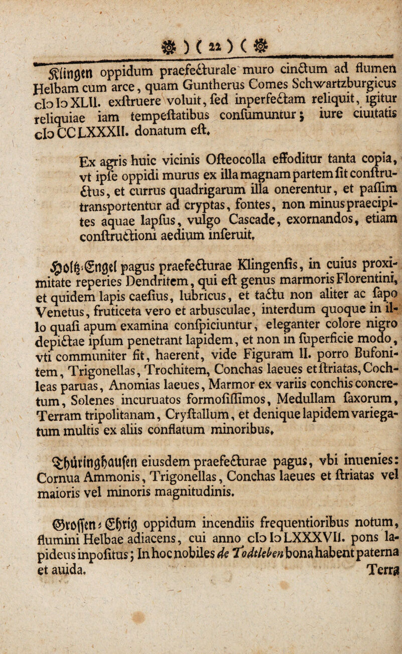 oppidum praefetturale muro cindum ad flumen Helbam cum arce, quam Guntherus Comes Schwartzburgicus cIoIoXLU. exftruere voluit, fed inperfe&am reliquit, igitur reliquiae iam tempeftatibus confumunturj iure duitatis cloCCLXXXII. donatum eft. Ex agris huic vicinis Ofteocolla effoditur tanta copia, vt ipfe oppidi murus ex illa magnam partem fit conftru- £tus, et currus quadrigarum Hia onerentur, et paffim transportentur ad cryptas, fontes, non minus praecipi¬ tes aquae lapfus, vulgo Cascade, exornandos, etiam conftru&ioni aedium inferuit, pagus praefefturae Klingenfis, in cuius proxi¬ mitate reperies Dendritem, qui eft genus marmoris Florentini, et quidem lapis caefius, lubricus, et ta£lu non aliter ac fapo Venetus, fruticeta vero et arbusculae, interdum quoque in il¬ lo quafi apum examina confpiciuntur, eleganter colore nigro depi&ae ipfum penetrant lapidem, et non in fuperficie modo, vti communiter fit, haerent, vide Figuram II. porro Bufoni- tem, Trigonellas, Trochitem, Conchas laeues et ftriatas, Coch¬ leas paruas, Anomias laeues, Marmor ex variis conchis concre¬ tum, Solenes incuruatos formofiflimos, Medullam faxorum, Terram tripolitanam, Cryftallum, et denique lapidem variega¬ tum multis ex aliis conflatum minoribus, $f)tirin8f)aufert eiusdem praefe&urae pagus, vbi inuenies: Cornua Ammonis, Trigonellas, Conchas laeues et ftriatas vel maioris vel minoris magnitudinis. oppidum incendiis frequentioribus notum, flumini Helbae adiacens, cui anno cId Io LXXXVIf. pons la¬ pideus inpofitus; In hoc nobiles 'fodtkben bona habent paterna etauida. Terra