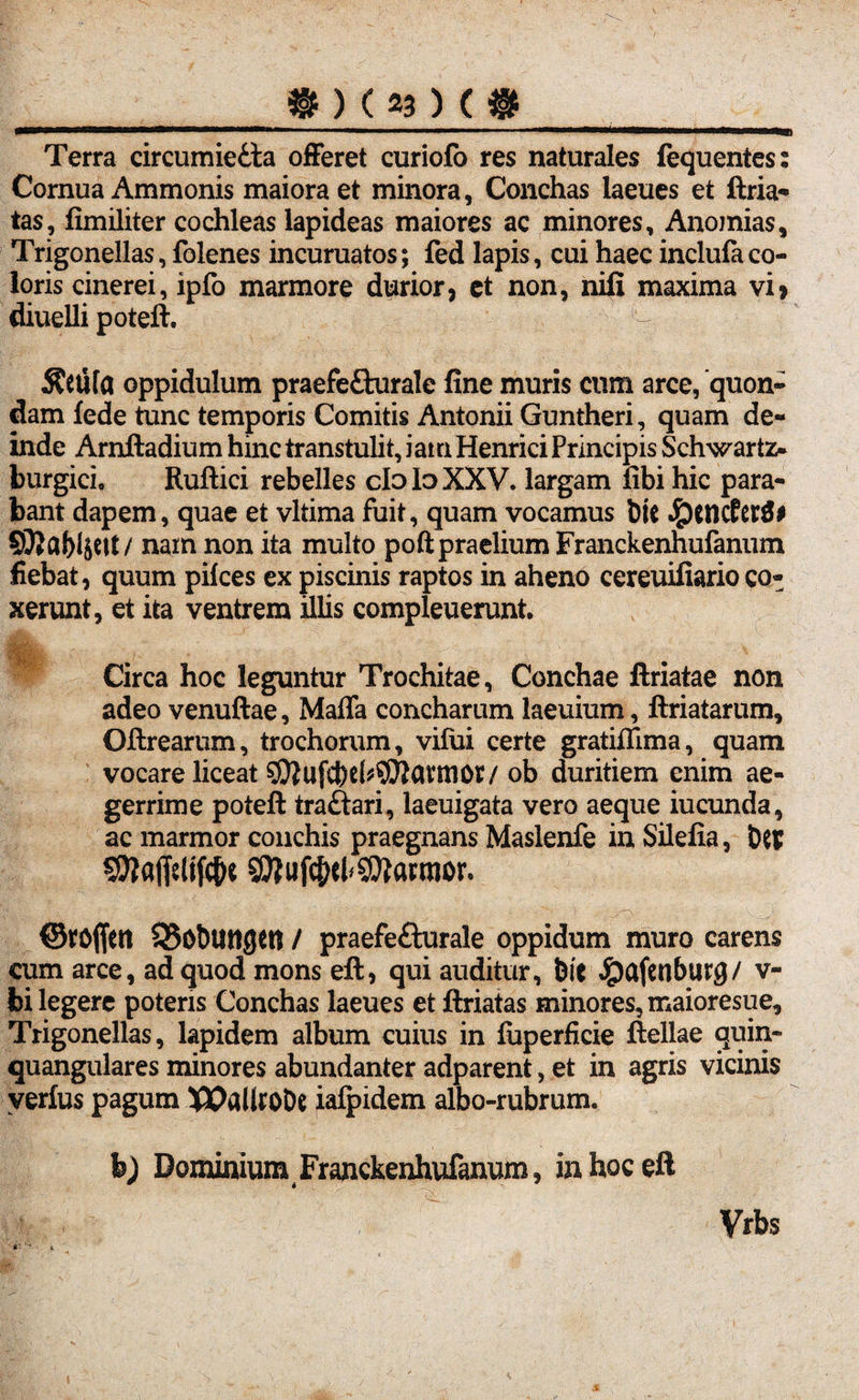 Terra circumie£ta ofFeret curiofo res naturales fequentes: Cornua Ammonis maiora et minora, Conchas laeues et ftria- tas, fimiliter cochleas lapideas maiores ac minores, Anomias, Trigonellas, folenes incuruatos; fed lapis, cui haec inclufa co¬ loris cinerei, ipfo marmore durior, ct non, nifi maxima vi» diuelli poteft. ^ Petila oppidulum praefe£turale fine muris cum arce, quon¬ dam lede tunc temporis Comitis Antonii Guntheri, quam de¬ inde Arnftadium hinc transtulit, iatn Henrici Principis Schwartz- burgici, Ruftici rebelles doloXXV. largam fibi hic para¬ bant dapem, quae et vltima fuit, quam vocamus bie $tncfer£# 93Jaf>4ut/ nam non ita multo poft praelium Franckenhufanum fiebat, quum pilees ex piscinis raptos in aheno cereuifiario co¬ xerunt, et ita ventrem illis compleuerunt. Circa hoc leguntur Trochitae, Conchae ftriatae non adeo venuftae, Maffa concharum laeuium, ftriatarum, Oftrearum, trochorum, vifui certe gratiffima, quam vocare liceat SOjufcbchWlavttior/ ob duritiem enim ae¬ gerrime poteft traftari, laeuigata vero aeque iucunda, ac marmor conchis praegnans Maslenfe in Silefia, tW SftaffrtfWK SJtufc&ebSttatmor. ©rofiett SSobtUtgctt / praefefturale oppidum muro carens cum arce, ad quod mons eft, qui auditur, iit Jpafenburg/ v- bi legere poteris Conchas laeues et ftriatas minores, maioresue, Trigonellas, lapidem album cuius in luperficie ftellae quin- quangulares minores abundanter adparent, et in agris vicinis yerfus pagum XPalhoDe ialpidem albo-rubrum. h) Dominium Franckenhufanum, in hoc eft Vrbs