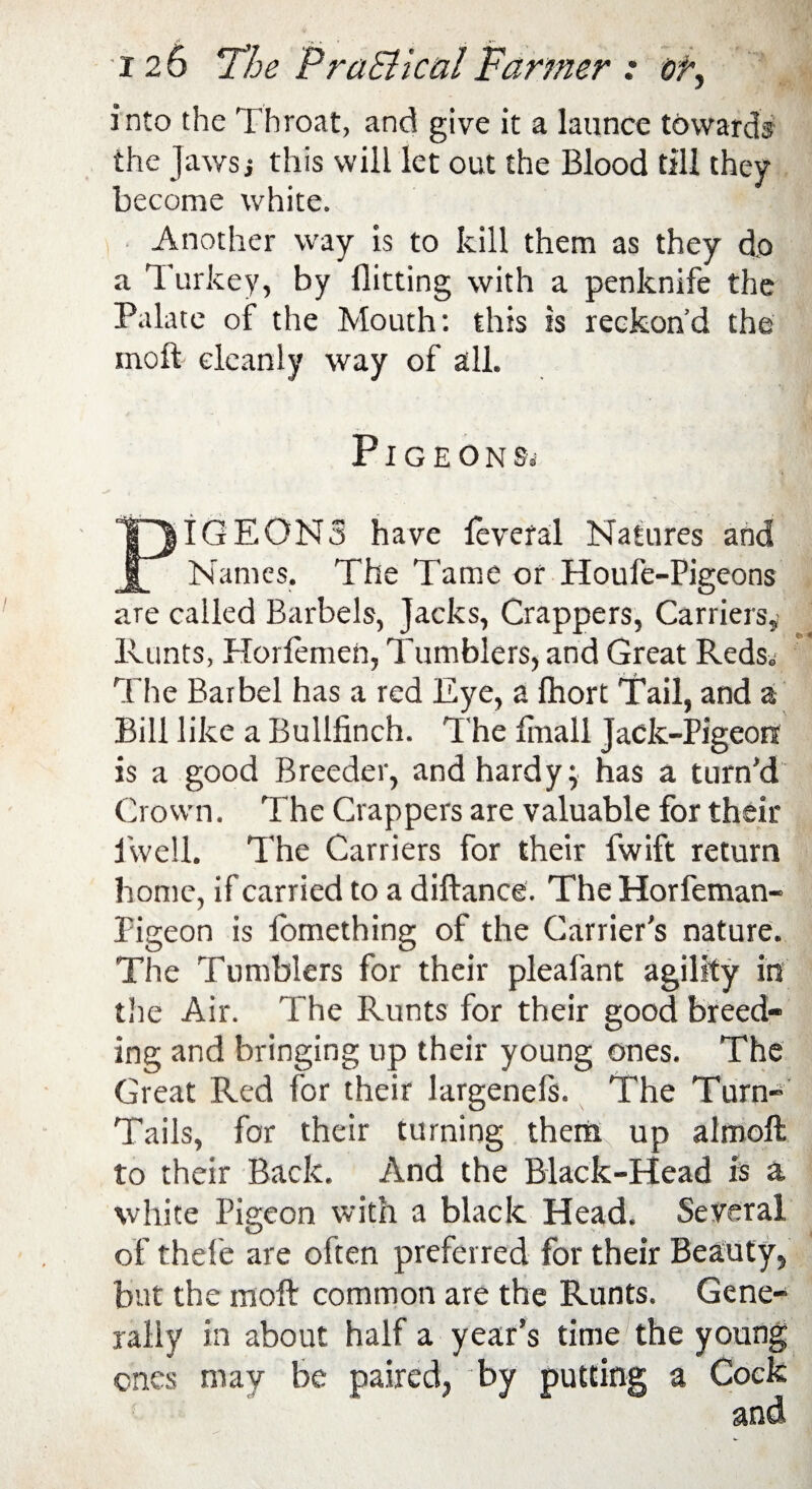 into the Throat, and give it a launce towards the Jaws j this will let out the Blood till they become white. Another way is to kill them as they do a Turkey, by flitting with a penknife the Palate of the Mouth: this is reckon'd the molt cleanly way of all. Pigeons,' PIGEONS have fevefal Natures and Names. The Tame or Houfe-Pigeons are called Barbels, Jacks, Crappers, Carriers, Runts, Horlemen, Tumblers, and Great Reds* The Barbel has a red Eye, a ftiort Tail, and a Bill like a Bullfinch. The fmall Jack-Pigeon is a good Breeder, and hardy; has a turn’d Crown. The Crappers are valuable for their ivvell. The Carriers for their fwift return home, if carried to a diftance. The Horfeman- Pigeon is lomething of the Carrier's nature. The Tumblers for their pleafant agility in the Air. The Runts for their good breed¬ ing and bringing up their young ones. The Great Red for their largenefs. The Turn- Tails, for their turning them up alrnofl to their Back. And the Black-Head is a white Pigeon with a black Head. Several of thefe are often preferred for their Beauty, but the raoft common are the Runts. Gene¬ rally in about half a year’s time the young ones may be paired, by putting a Cock