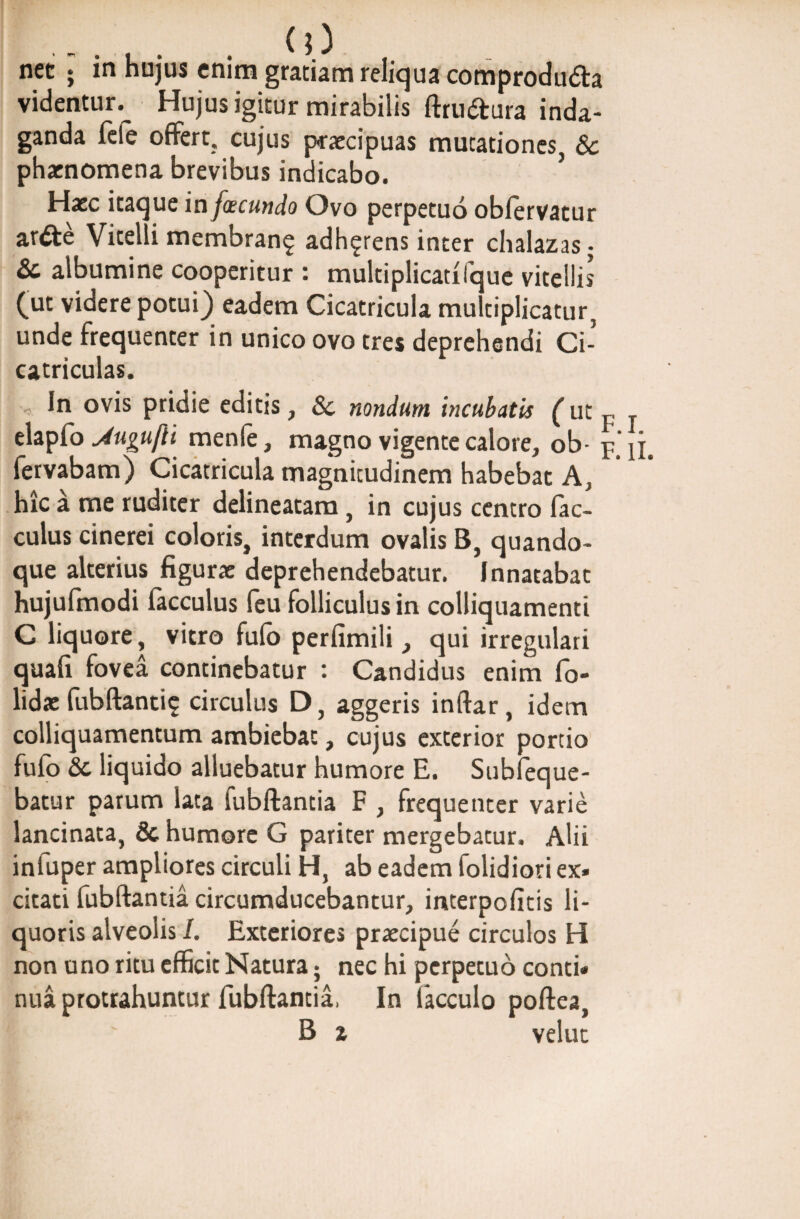 - . . . . (0 . . net ; in hujus enim gratiam reliqua comprodu&a videntur. Hujus igitur mirabilis ftru&ura inda¬ ganda fele offert, cujus praecipuas mutationes, & phaenomena brevibus indicabo. Haec itaque in facundo Ovo perpetuo oblervatur ar£te Vitelli membran$ adherens inter chalazas; & albumine cooperitur : multiplicatilque vitellis (ut videre potui) eadem Cicatricula multiplicatur, unde frequenter in unico ovo tres deprehendi Ci¬ catriculas. In ovis pridie editis, 8c nondum incubatis (ut p elapfo Jugufti menfe, magno vigente calore, ob- jf fervabam) Cicatricula magnitudinem habebat A, hic a me ruditer delineatam, in cujus centro fac- culus cinerei coloris, interdum ovalis B, quando¬ que alterius figurae deprehendebatur. Innatabat hujufmodi facculus feu folliculus in colliquamenti C liquore, vitro fufo perfimili, qui irregulari quafi fovea continebatur : Candidus enim fo- lidae fubftanti? circulus D, aggeris inftar, idem colliquamentum ambiebat, cujus exterior portio fufo & liquido alluebatur humore E. Subfeque- batur parum lata fubftantia F , frequenter varie lancinata, 8c humore G pariter mergebatur. Alii infuper ampliores circuli H, ab eadem folidiori ex. citati fubftantia circumducebantur, interpolitis li¬ quoris alveolis I. Exteriores praecipue circulos H non uno ritu efficic Natura 5 nec hi perpetuo conti, nua protrahuntur fubftantia, In facculo poftea, B z velut