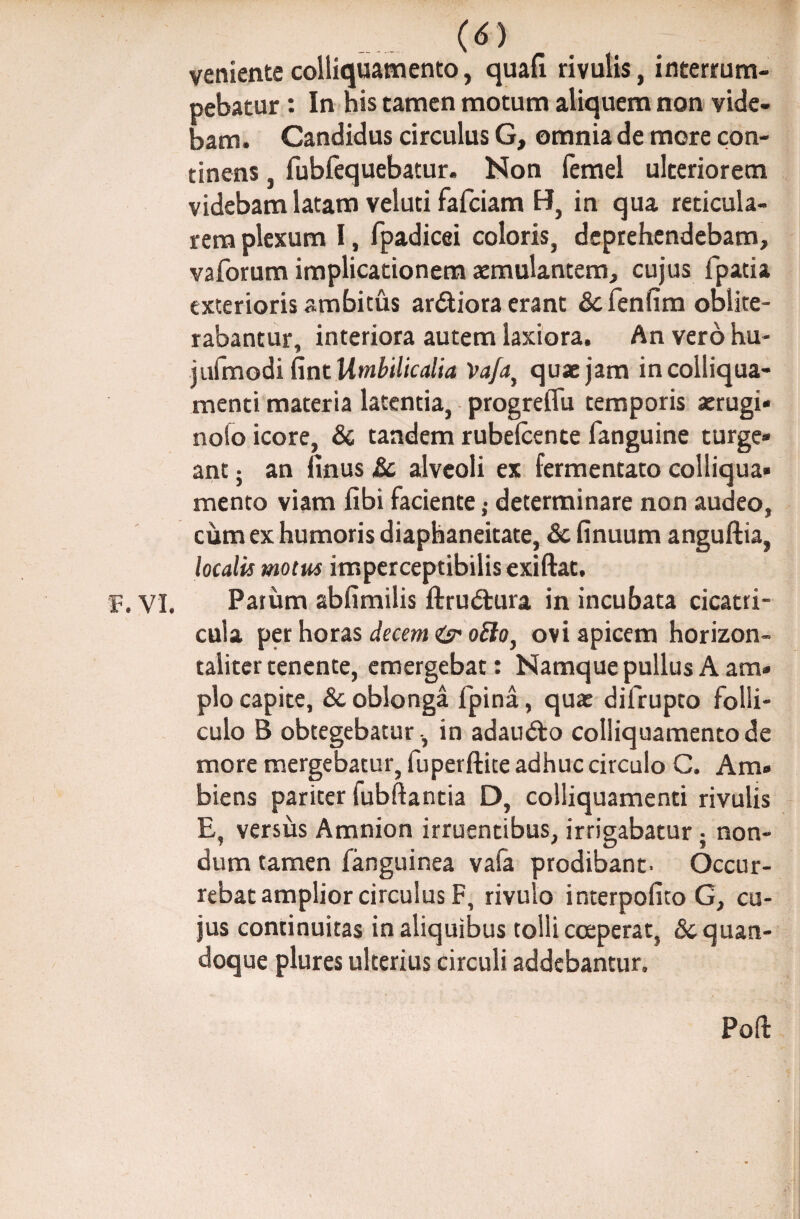 venientecolliquamento, quafl rivulis, interrum¬ pebatur : In his tamen motum aliquem non vide¬ bam . Candidus circulus G, omnia de more con¬ tinens , fubfequebatur. Non femel ulteriorem videbam latam veluti fafeiam B, in qua reticula¬ rem plexum I, fpadicei coloris, deprehendebam, vaforum implicationem aemulantem, cujus fpatia exterioris ambitus ardiora erant & fenfim oblite- rabantur, interiora autem laxiora. An vero hu- jufmodi fint Umbilicalia Vafa} quae jam incolliqua- menti materia latentia, progreiTu temporis aerugi* nofo icore, & tandem rubeicente fanguine turge* ant; an Unus & alveoli ex fermentato colliqua* mento viam fibi faciente• determinare non audeo, cum ex humoris diaphaneitate, & finuum anguftia, localis motus imperceptibilis exiftat, F. vi. Parum abfimilis ftrudura in incubata cicatri¬ cula per horas decem & oElo, ovi apicem horizon- taliter tenente, emergebat: Namque pullus A am» pio capite, & oblonga fpina, qua: difrupto folli¬ culo B obtegebatur, in adaudo colliquamentode more mergebatur, fuperftite adhuc circulo C. Am» biens pariter fubftantia D, colliquamenti rivulis E, versus Amnion irruentibus, irrigabatur; non¬ dum tamen fanguinea vafa prodibant- Occur¬ rebat amplior circulus F, rivulo interpofito G, cu¬ jus continuitas in aliquibus tolli coeperat, 8c quan¬ doque plures ulterius circuli addebantur. Poft