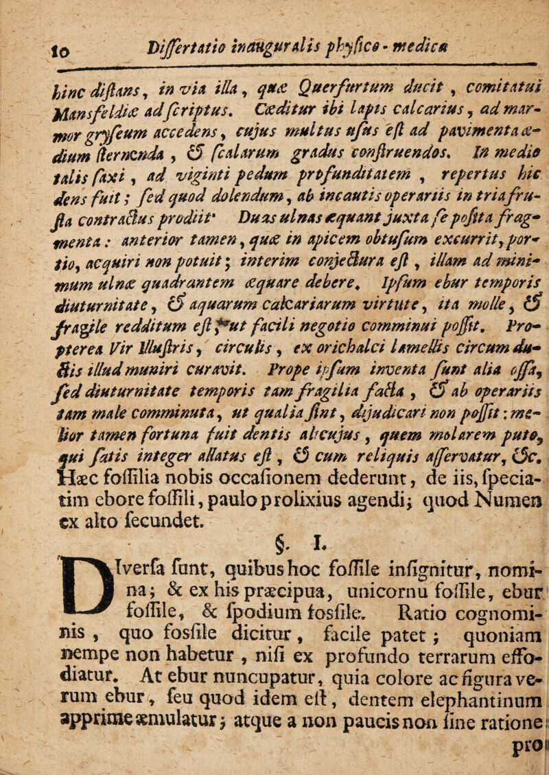 Dijfertatio inauguratis phy fice- medice* hinc dijlans, in via illa, q*& Querfurtum ducit , comitatui Mansfeldifi adfcriptus. C&ditur ibi lapis calcarius, ad mar* morgryfeum accedens, cujus multus u/us efl ad pavimentas dium demenda , £5 falarum gradus tonjlruendos. I# jpofi* talis faxi , viginti pedum profundit at em , repertus hic dens fuit; fed quod dolendum, ab incautis operariis in tria fru- jta contractus prodiit• Z>#&r aequant juxta fepoftta frag- menta : anterior tamen, //? apicem obtufum excurrit y por* tioj acquiri non potuit; interim conjeBura ejl y illam ad mini~ mum uln£ quadrantem aequare debere « Ipfum ebur temporis diuturnitate, £5* aquarum calcariarum virtute, ita molle y fraple redditum ejlfsut facili negotio comminui pojftt* «Pw pterea Vir 1/luJlris, circulis, ex orichalci lamellis circum du- Bis illud muniri curavit. Prope ipfum inventa funt alia ojfa3 fed diuturnitate temporis tam fragilia fa&a , £5* operariis tam male comminuta , ut qualia fint, dijudicari non pojftt ; me¬ lior tamen fortuna fuit dentis alrcujus , molarem puto,y qui fatis integer allatus ejl, £5 cum reliquis affervatur, £5f. Haec foffilia nobis occafionem dederant, de iis, fpecia- lim ebore foffili, paulo prolixius agendi; quod Numen ex alto fecundet. > L DIverfa funt, quibus hoc foffile infigmtur, nomi¬ na; & ex his praecipua, uni cornu foflile, ebur foffile, & Ipodium foslile. Ratio cognomi¬ nis , quo fosfile dicitur, facile patet; quoniam nempe non habetur , nifi ex profundo terrarum effo¬ diatur* At ebur nuncupatur, quia colore ac figura ve¬ rum ebur , feu quod idem ell, dentem elephantinum apprimeseniulatur; atque a non paucis non line ratione. proi