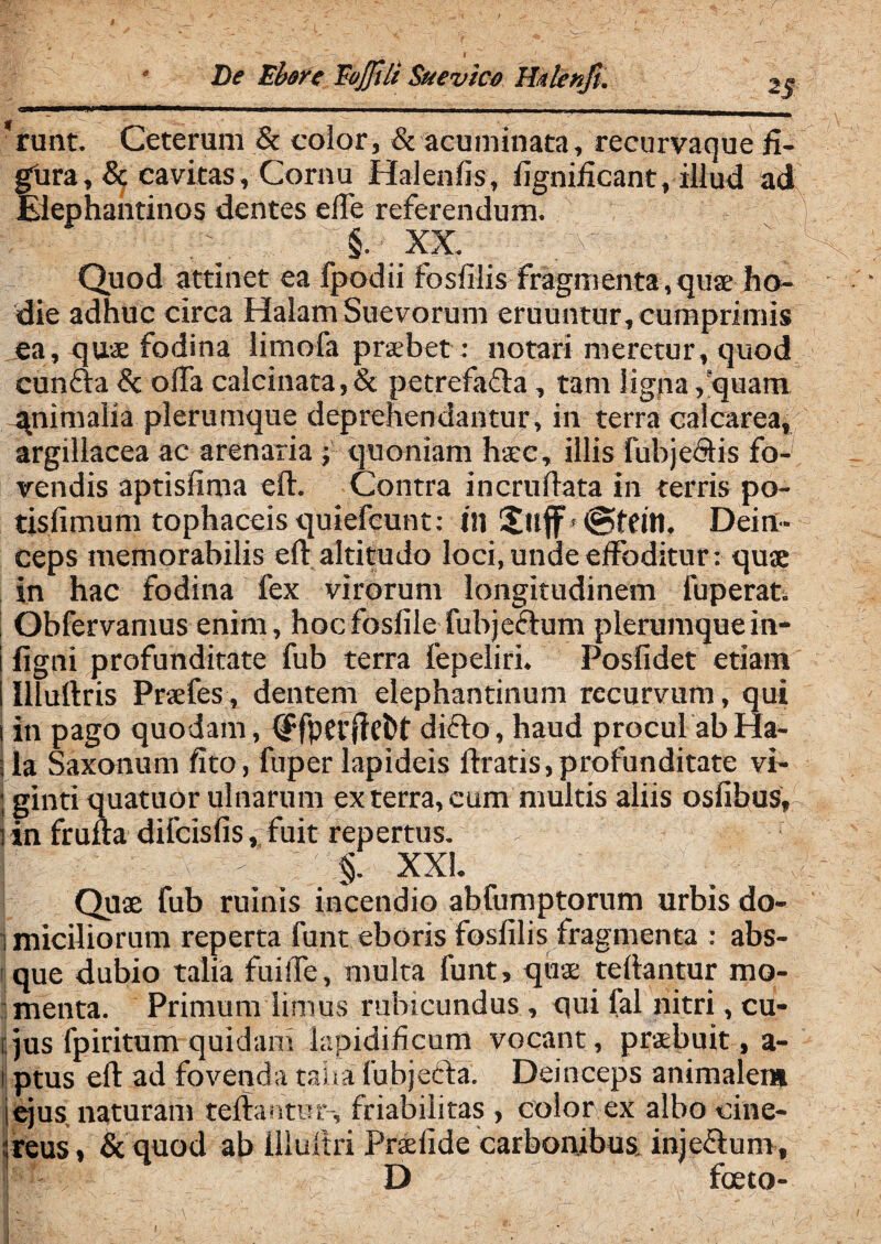 i De Ebore Eajfili Suevice Hitlenfi. 2 5 *runt. Ceterum & color, & acuminata, recurvaque fi¬ gura ,& cavitas, Cornu Halenfis, fignificant, illud ad Elephantinos dentes effe referendum. §. XX. . 3 ' * v = % Quod attinet ea fpodii fosfilis fragmenta,quae ho¬ die adhuc circa Halam Suevorum eruuntur, cumprimis ea, quae fodina limofa praebet : notari meretur, quod cunfia & offa calcinata, & petrefafla, tam ligna ,'quam ^nimalia plerumque deprehendantur, in terra calcarea, argillacea ac arenaria i quoniam hxc, illis fubjedtis fo¬ vendis aptisfima eff. Contra incruftata in terris po- tisfimum tophaceis quiefcunt: in Xuff > ©teitl. Dein¬ ceps memorabilis eft altitudo loci, unde effoditur: quae in hac fodina fex virorum longitudinem luperat. Obfervamus enim, hocfosfile fubjeiffum plerumque in- S figni profunditate fub terra fepeliri. Posfidet etiam i Illuftris Prsefes, dentem elephantinum recurvum, qui i in pago quodam, (ffpetflefct dicio, haud procul abHa- i la Saxonum fito, fuper lapideis ftratis, profunditate vi- ; ginti quatuor ulnarum ex terra, eum multis aliis osfihus, lin fruffa difcisfis, fuit repertus. - 5 r \ '* §. XXL Quae fub ruinis incendio abfumptorum urbis do- j miciliorum reperta funt eboris fosfilis fragmenta : abs¬ que dubio talia fuiffe, multa funt, quae teftantur mo¬ menta. Primum limus rubicundus , qui fal nitri, cu- i; jus fpiritum quidam lapidificum vocant, praebuit, a- tj ptus eft ad fovenda talia fubjeda. Deinceps animalem i ejus naturam teffantur-, friabilitas , color ex albo cine- jreus, & quod ab llluftri Prseiide carbonibus, inje£fum, D foeto-