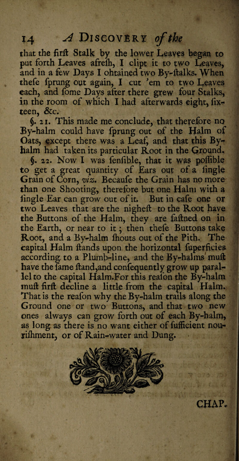 that the firft Stalk by the lower Leaves began to pat forth Leaves afrelh, I dipt it to two Leaves, and in a few Days I ohtained two By-ftalks. When thefe fprung out again, I cut 'em to two Leaves each, and fome Days after there grew four Stalks, in the room of which I had afterwards eight, lix- teen, &c; §. 21. This made me conclude, that therefore no By-halm could have fprung out of the Halm of Oats, except there was a Leaf, and that this By¬ halm had taken its particular Root in the Ground. §. 22. Now I was fenfible, that it was poflible to get a great quantity of Ears out of a lingle Grain of Corn, viz. Becaufe the Grain has no more than one Shooting, therefore but one Halm with a lingle Ear can grow out of it. But in cafe one or two Leaves that are the nigheft to the Root have the Buttons of the Halm, they are faftned on in the Earth, or near to it; then thefe Buttons take Root, and a By-halm fhouts out of the Pith. The capital Halm ftands upon the horizontal fuperficies according, to a Plumb-line, and the By-halms muft have the lame ftand,and confequently grow up paral¬ lel to the capital Halm.For this realon the By-halm muft firft decline a little from the capital Halm. That is the reafon why the By-halm trails along the Ground one or two Buttons, and that two new ones always can grow forth out of each By-halm, as long as there is no want either of fufficient nou- xifhment, or of Rain-water and Dung. CHAP.