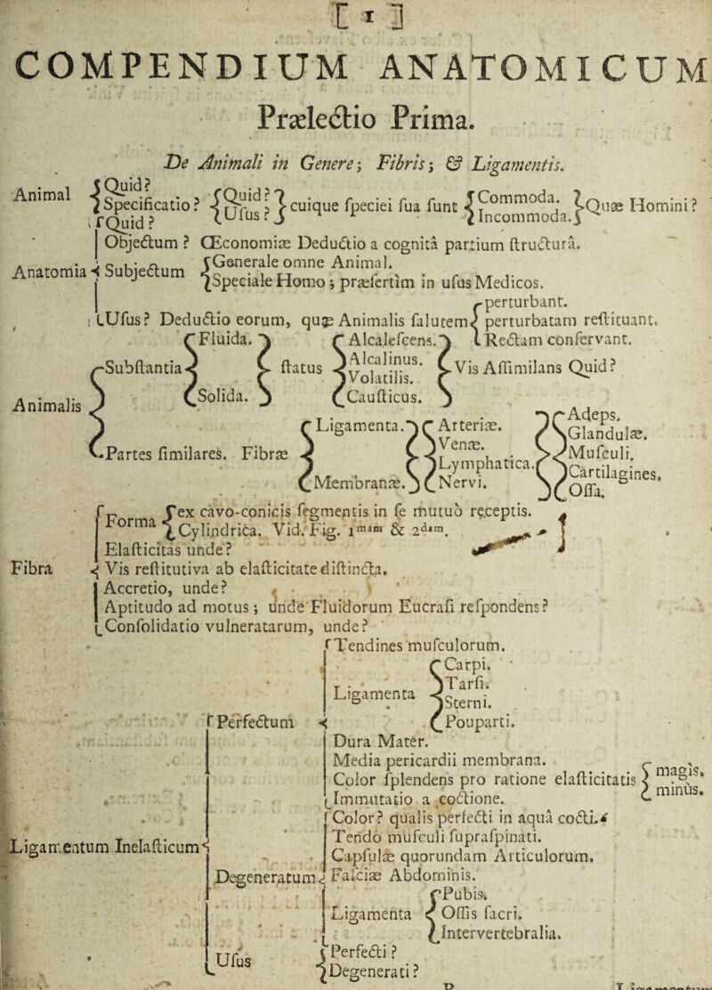 COMPENDIUM ANATOMICUM Prxleclio Prima. Animal i^idf?Cati°? {urus?}cuiclue f^eciei fua funt incommoda jQu* H°mini? De Animali in Genere; Fibris; & Ligamentis. fQuid Objedum ? CEconomise Dedudio a cognita partium ftrudura. » „ . n fGenerale omne Animal, na omia u je um ^Speciale Homo * praefcrtim in ufus Medicos. I ^perturbant. lUfus? Dedudio eorum, qu^ Animalis falutemJ perturbatam reftituant, “Fluida.*^ ; rAlcakfcens.' — - flatus >A|calinus. ■Subftantia Animalis Solida. (Volatilis. Caufticus. L Redam confervant. Vis Aflimilans Quid? •Partes fimilares. Fibrse Ligamenta.-) Q Arteria. (Venae. (Lymphatica. r Membranae, Nervi. Adeps. Glandulae. Mofculi. Cartilagines, Offa. f Cex cavo-conicis Tegmentis in Te mutuo re.ceptis. 4 ^orma ^Cylixldrica. Vid.Fig. 1«»» & 2^™. T F.laftipftas unde? uf i Fibra Elafticitas unde ? ^ Vis reftitutiva ab elafticitatediftinda. Accretio, unde? ^ . Aptitudo ad motus *, unde Fluidorum Eucrafi refpondens? ConTolidatio vulneratarum, unde? rTendines mufculorum. Carpi. ' * . 5.. # ■ ^ ■m i. Perfedum Ligamenta Ligamentum Inelafticum^ Tarfi. Sterni. < \ C.Pouparti. Dura Mater. Media pericardii membrana. Color fplendens pro ratione elafticitatis < ma§1?4 Immutatio a codione. minus. Color? qualis perfedi in aqua codi-*' Tendo mufouli fuprafpinati. Capfulae quorundam Articulorum, Degeneratum<{ Fafcias Abdominis. rPubis. Ligamenta e Offis facri. ^Intervertebralia. S* r • T' Ufus j Perfedi ? ^Degenerati? T> t :