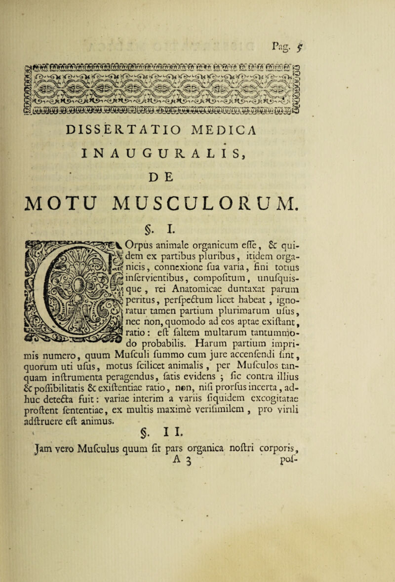 INAU GURALIS, D E MOTU MUSCULORUM. §. i. Orpus animale organicam efle, St qui¬ dem ex partibus pluribus, itidem orga¬ nicis, connexione fua varia, fini totius infervientibus, compofitum , unufquis- que , rei Anatomicae duntaxat paruin peritus, perfpedtum licet habeat , igno¬ ratur tamen partium plurimarum ufus, nec non, quomodo ad eos aptae exiftant, ratio: eft faltem multarum tantummo¬ do probabilis. Harum partium impri¬ mis numero, quum Mufculi fummo cum jure accenfendi fint, quorum uti ufus, motus fcilicet animalis, per Mufculos tan- quam inftrumenta peragendus, fatis evidens ; fic contra illius & polfibilitatis 8t exiftentiae ratio, ncn, nifi prorfusincerta, ad¬ huc detedta fuit: variae interim a variis iiquidem excogitatae prodent fententiae, ex multis maxime verifimilem , pro virili adftruere eft animus. §. I L Jam vero Mufculus quum fit pars organica noftri corporis, A 3 ’ pol-